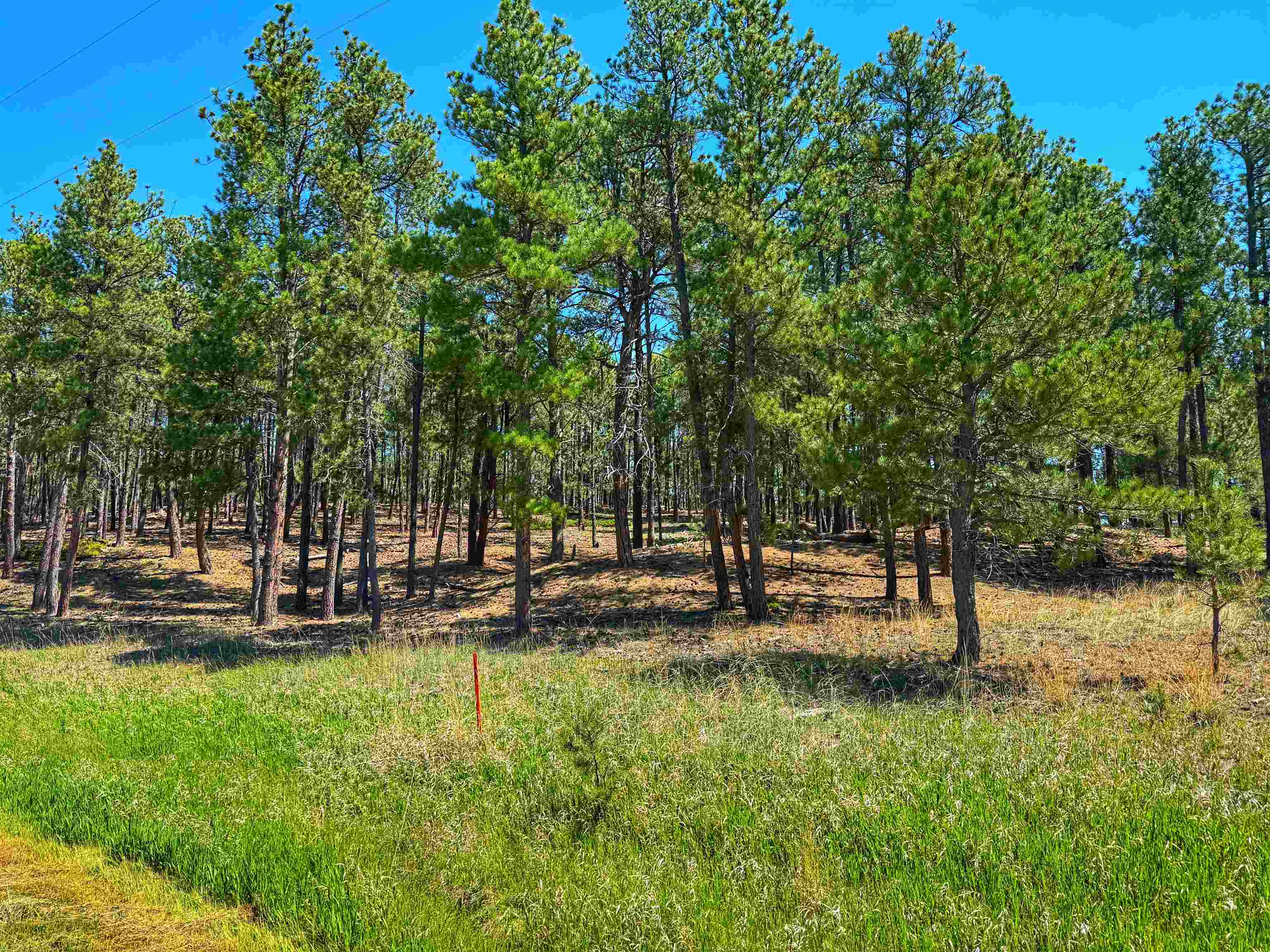 298 Remington Road Property Photo 19