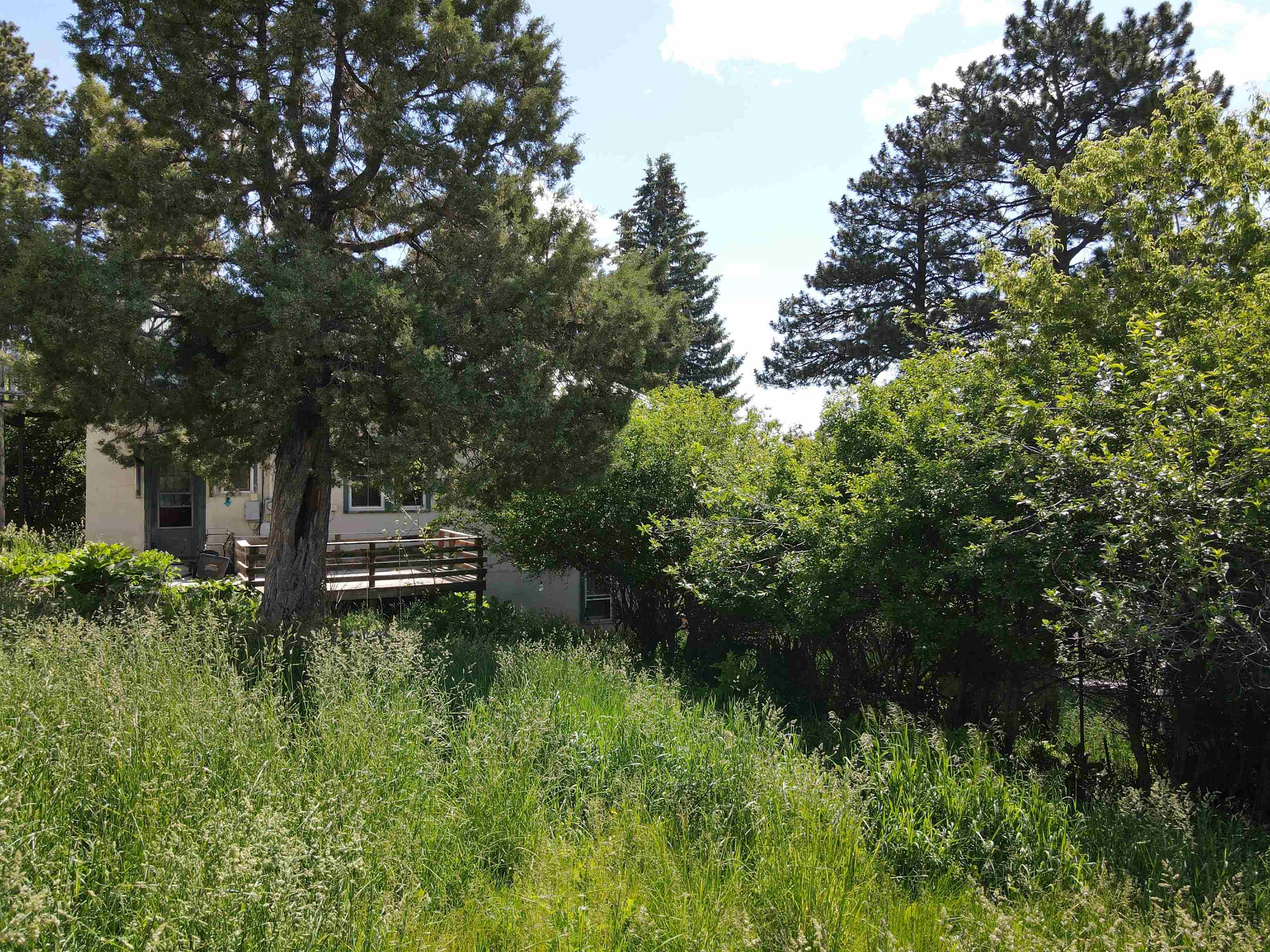 802 Miners Avenue Property Photo 9