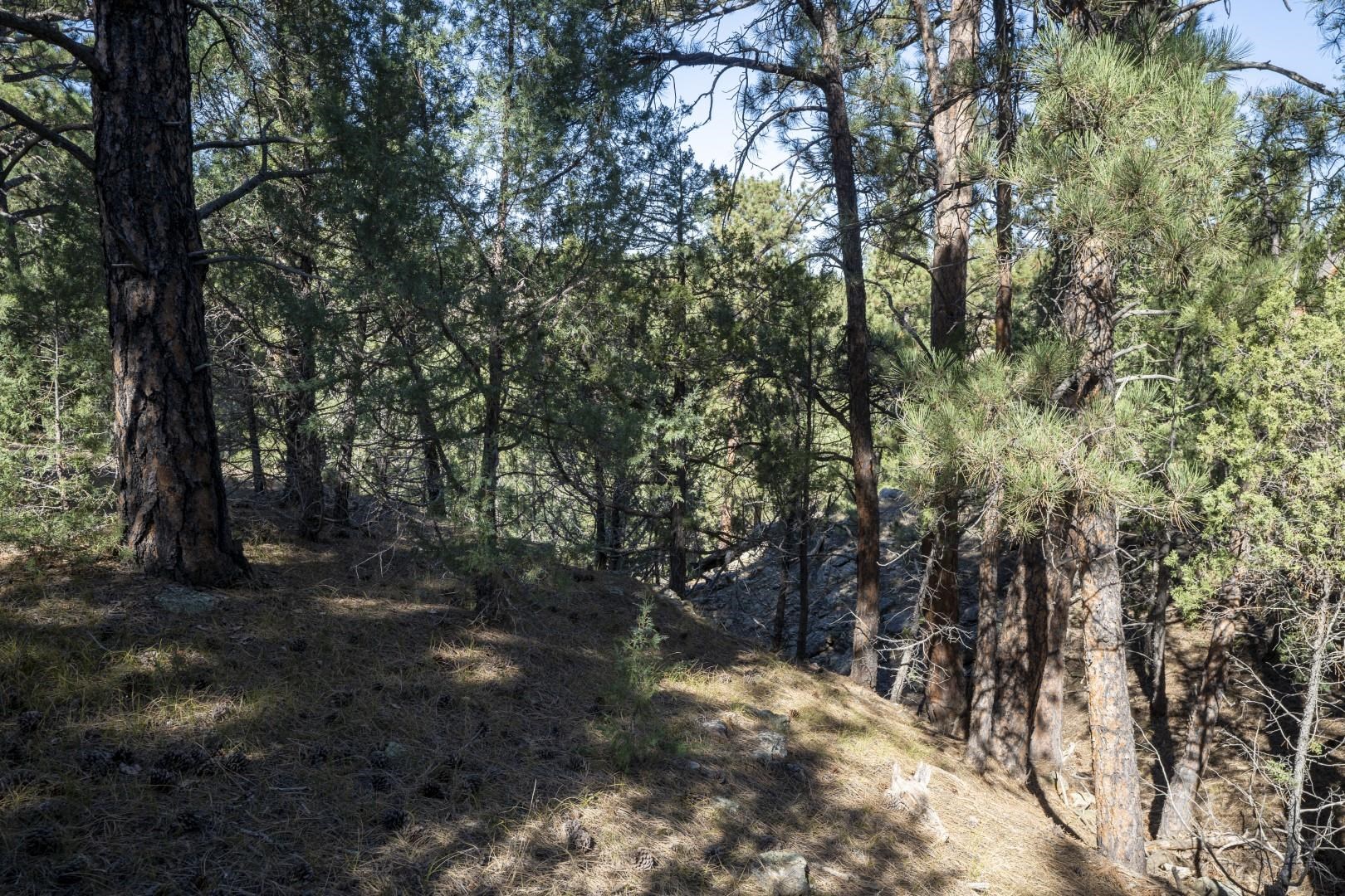 Lot 8 Sunset Ridge Road Property Photo 18