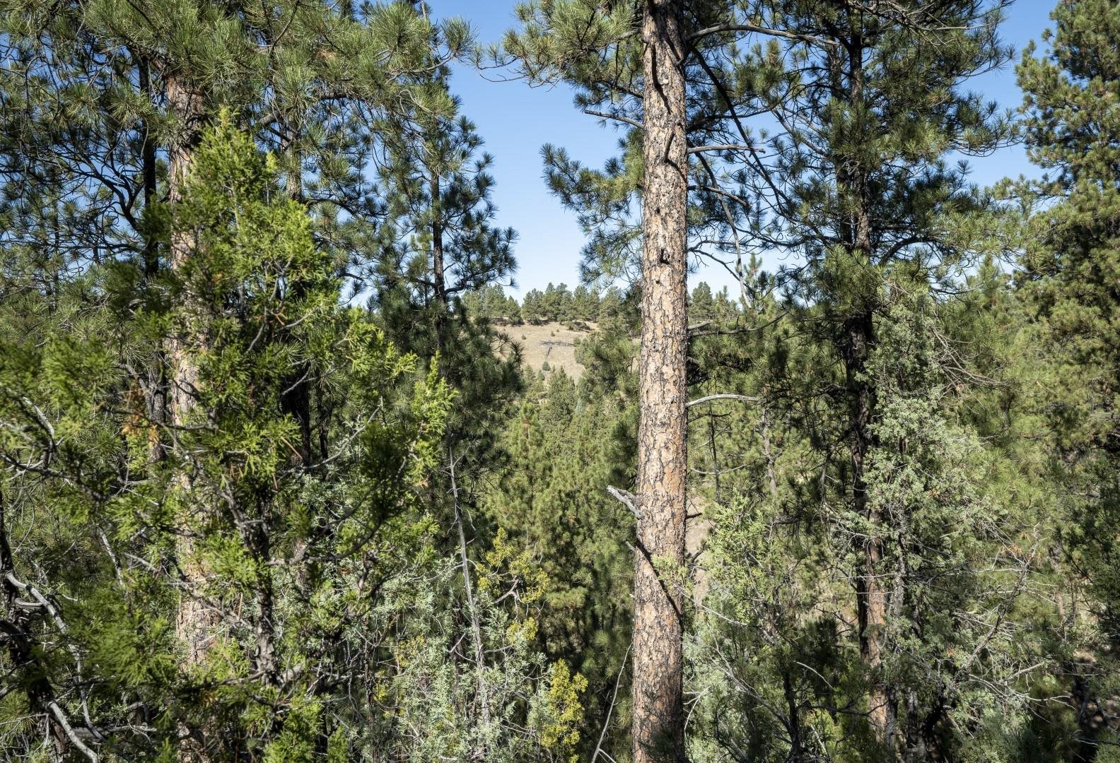 Lot 8 Sunset Ridge Road Property Photo 19