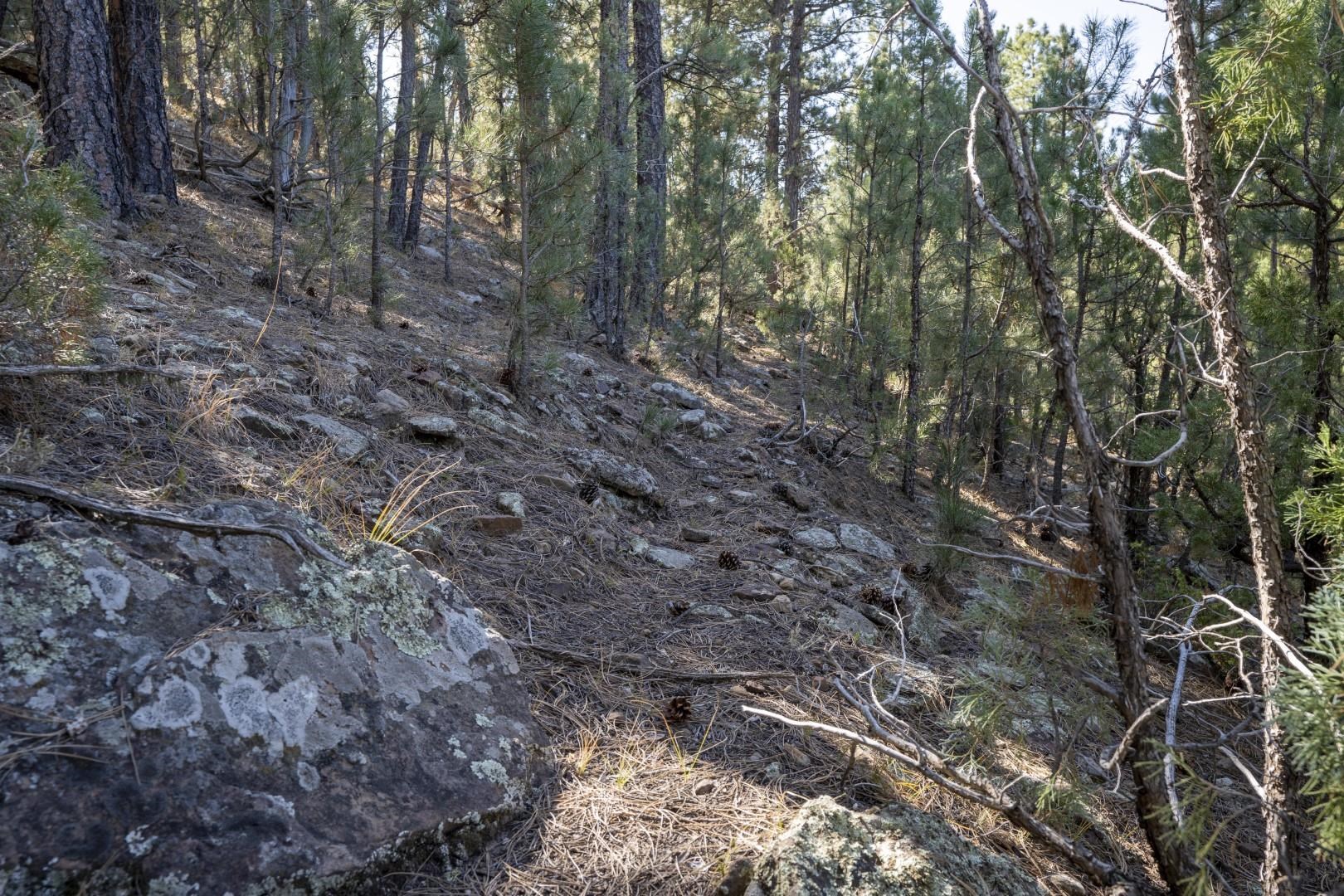 Lot 8 Sunset Ridge Road Property Photo 20