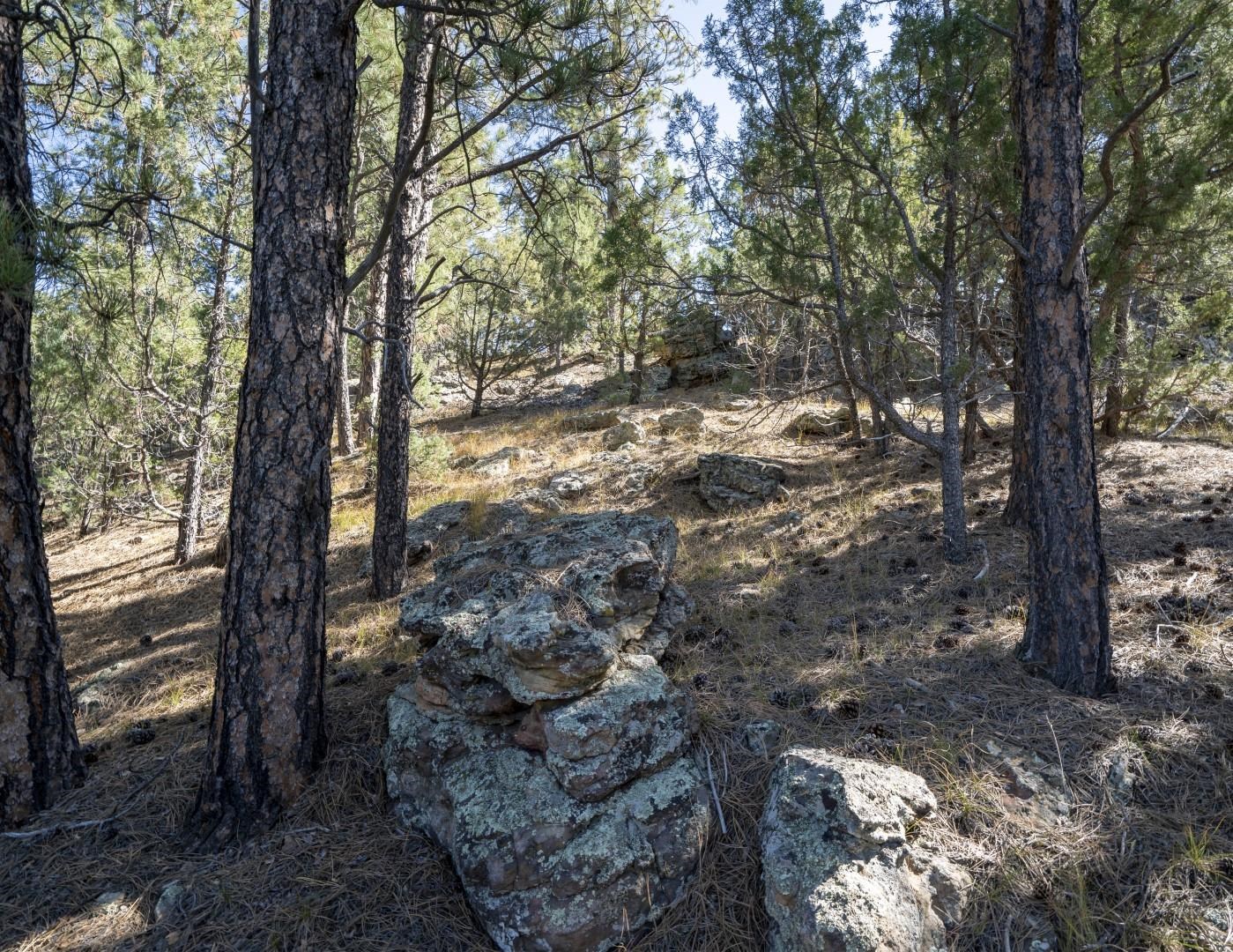 Lot 8 Sunset Ridge Road Property Photo 21