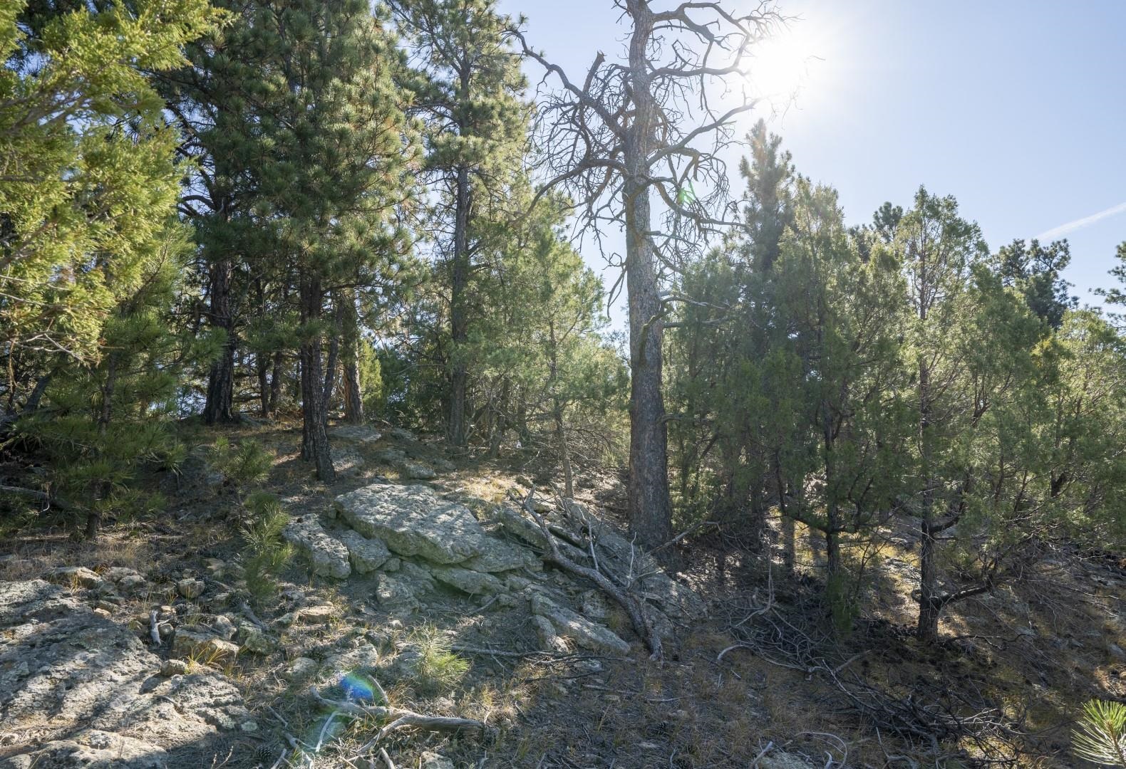 Lot 8 Sunset Ridge Road Property Photo 22