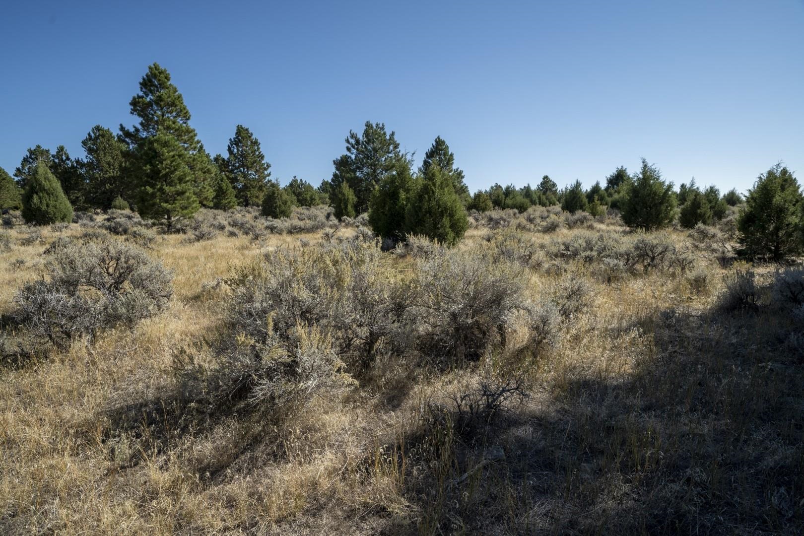 Lot 8 Sunset Ridge Road Property Photo 23