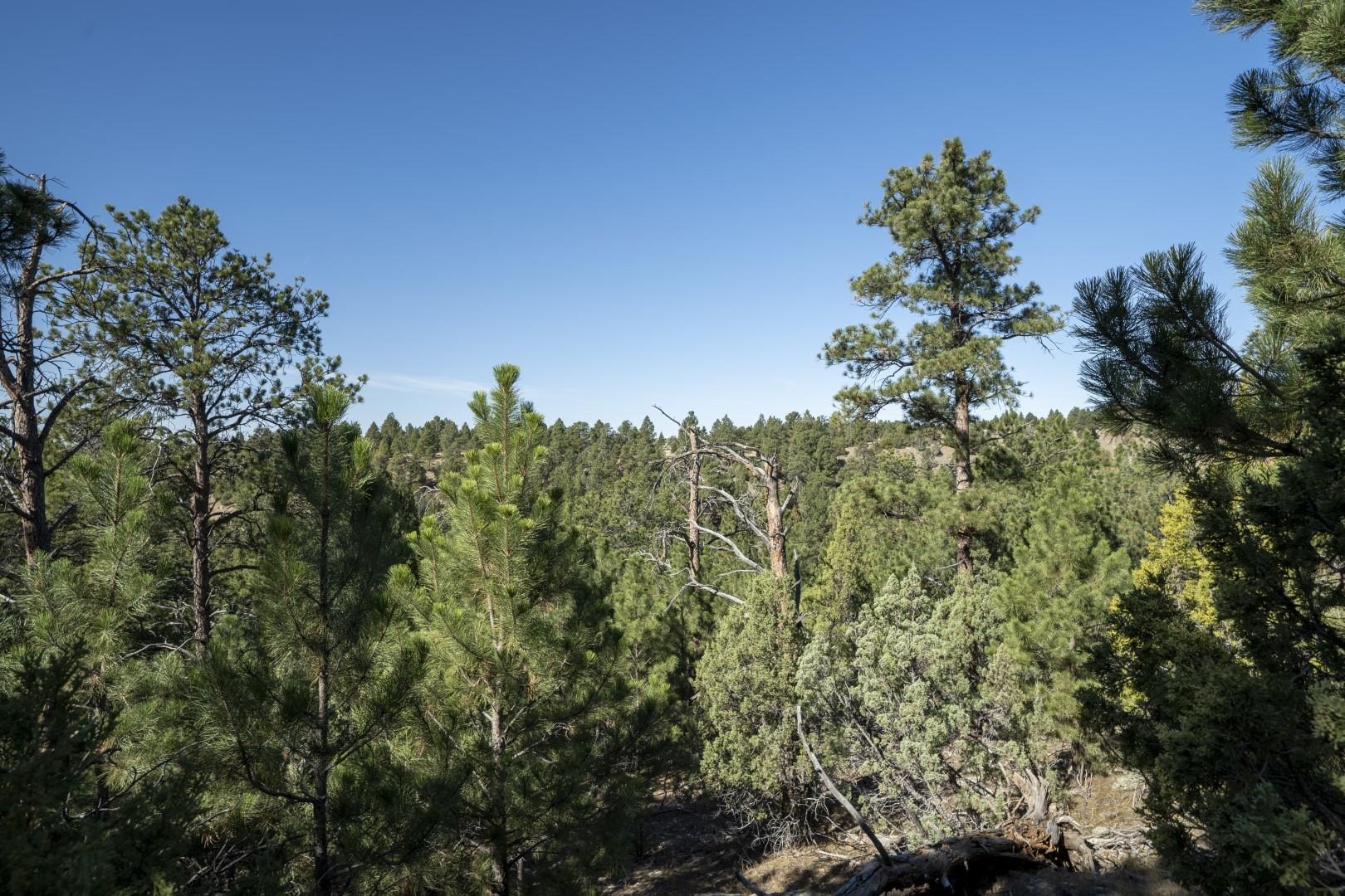 Lot 8 Sunset Ridge Road Property Photo 24