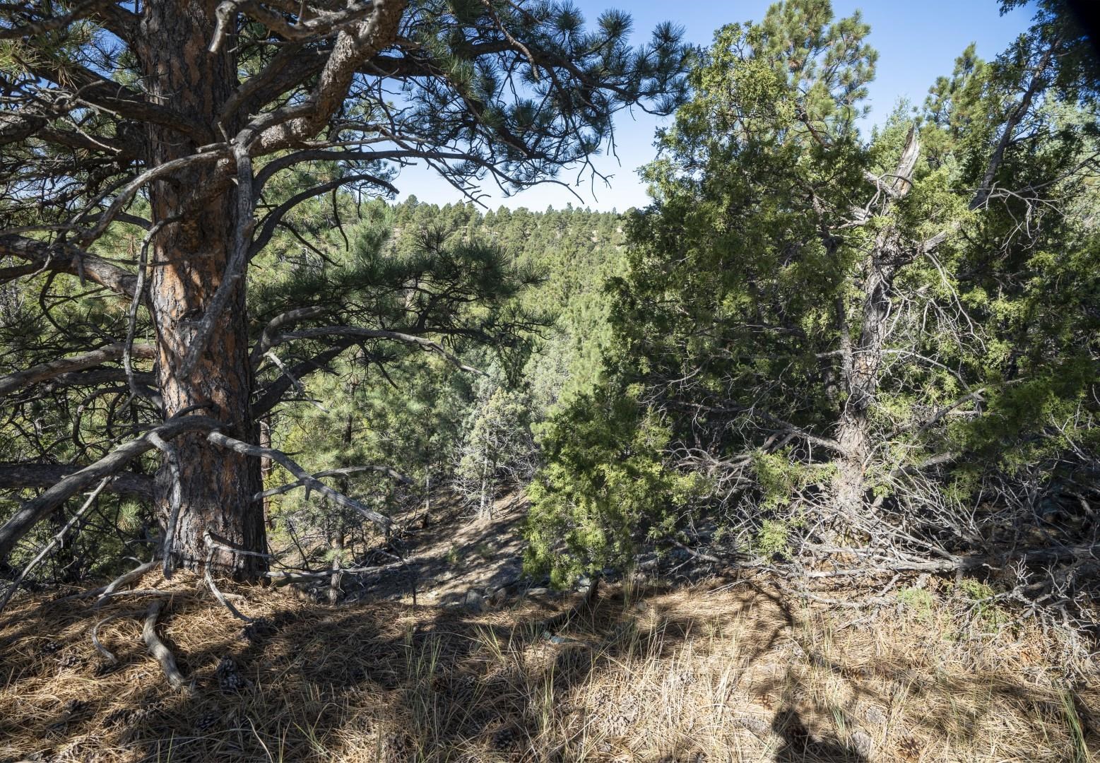 Lot 8 Sunset Ridge Road Property Photo 26