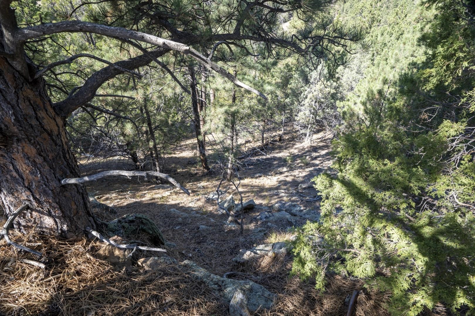 Lot 8 Sunset Ridge Road Property Photo 27