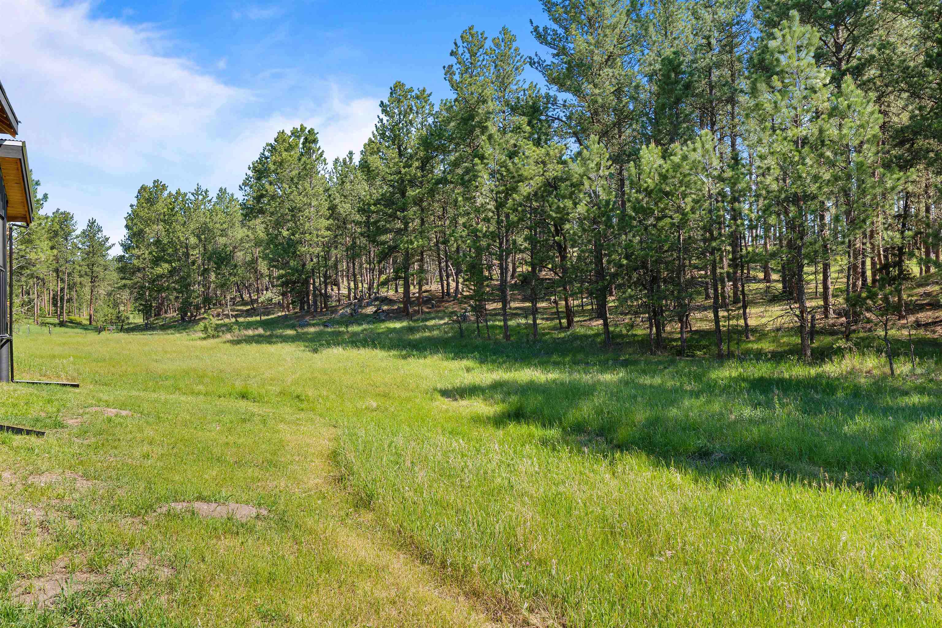 25733 Dakota Sur Drive Property Photo 20