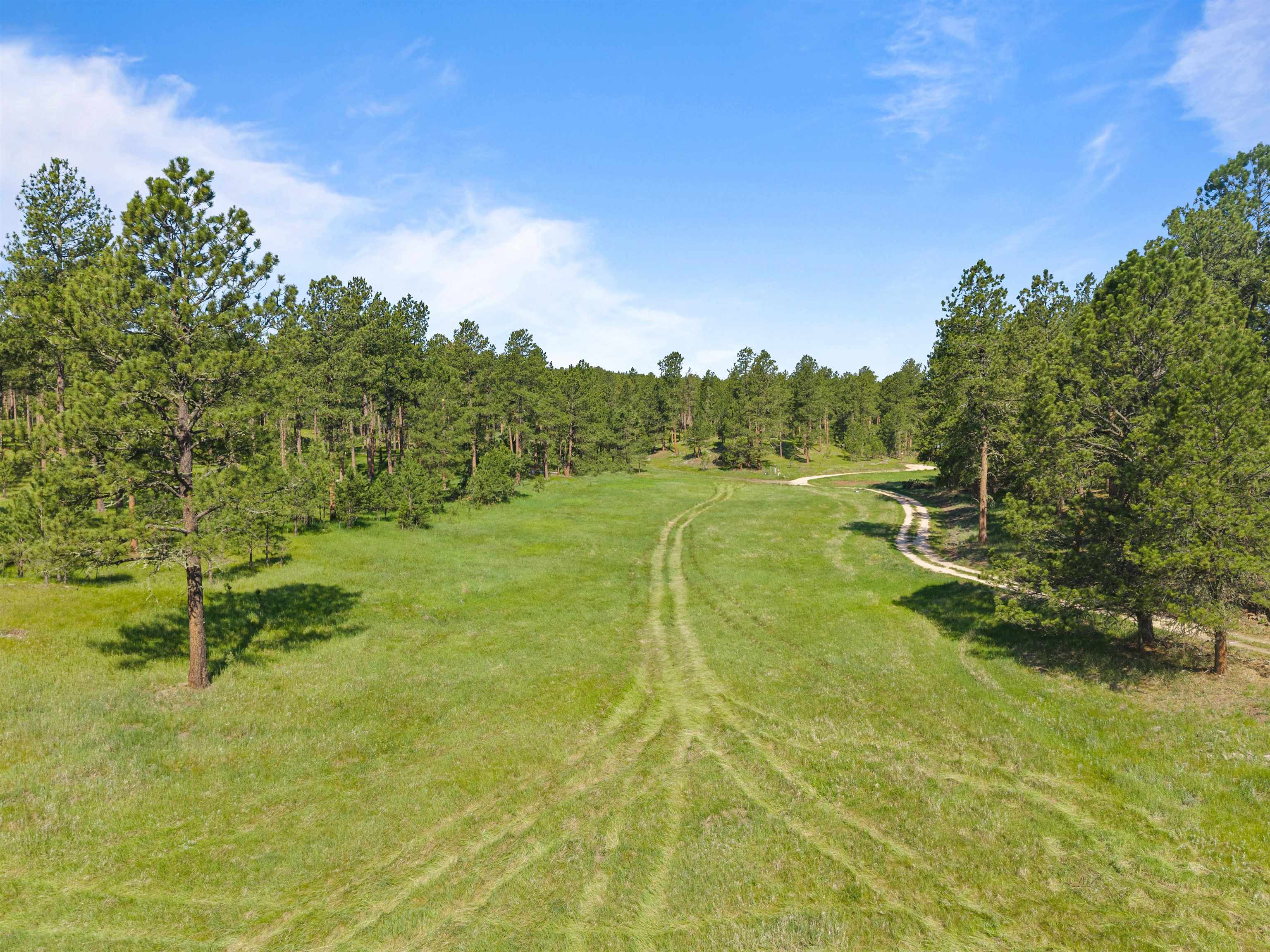 25733 Dakota Sur Drive Property Photo 25