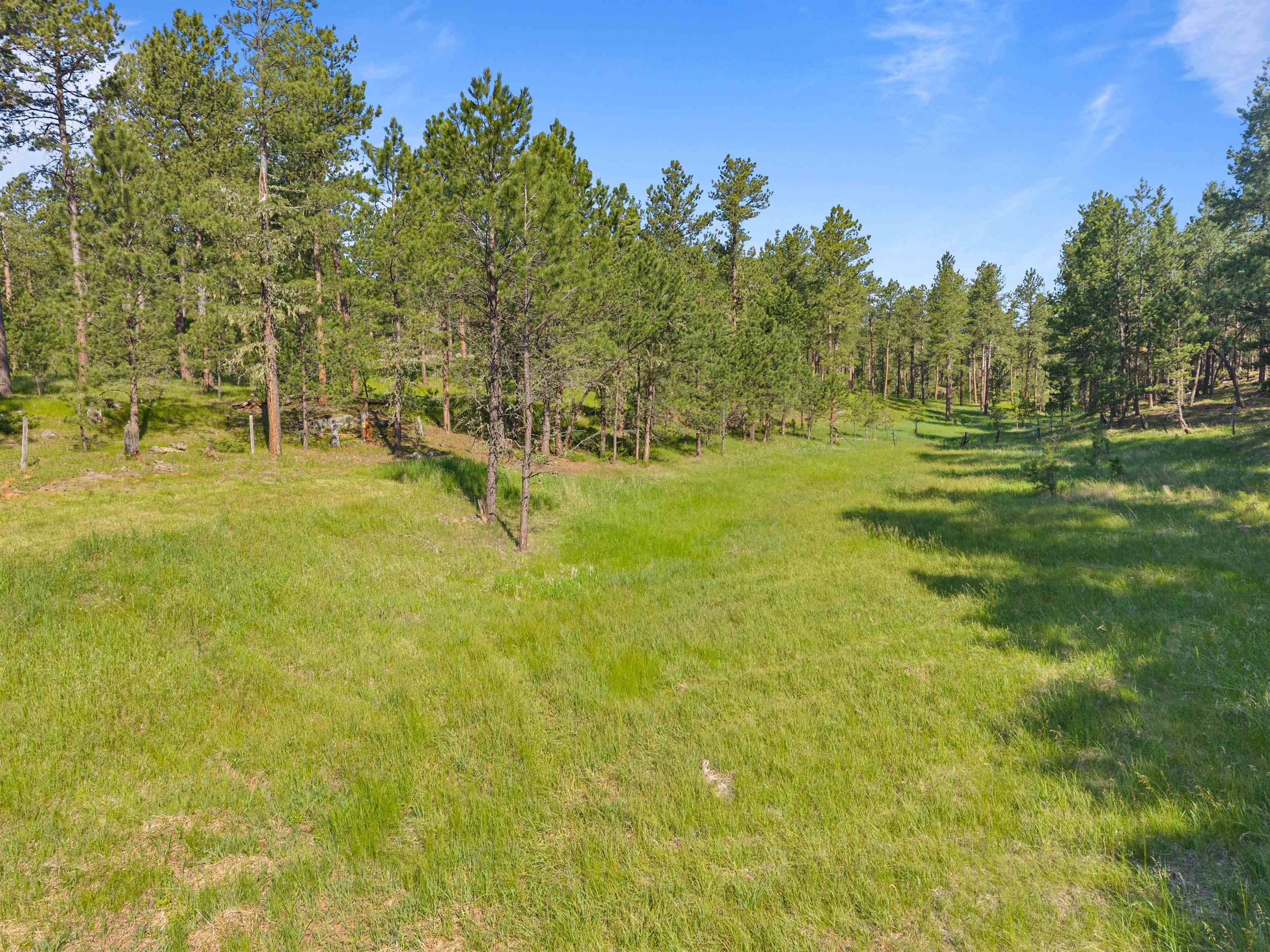 25733 Dakota Sur Drive Property Photo 26