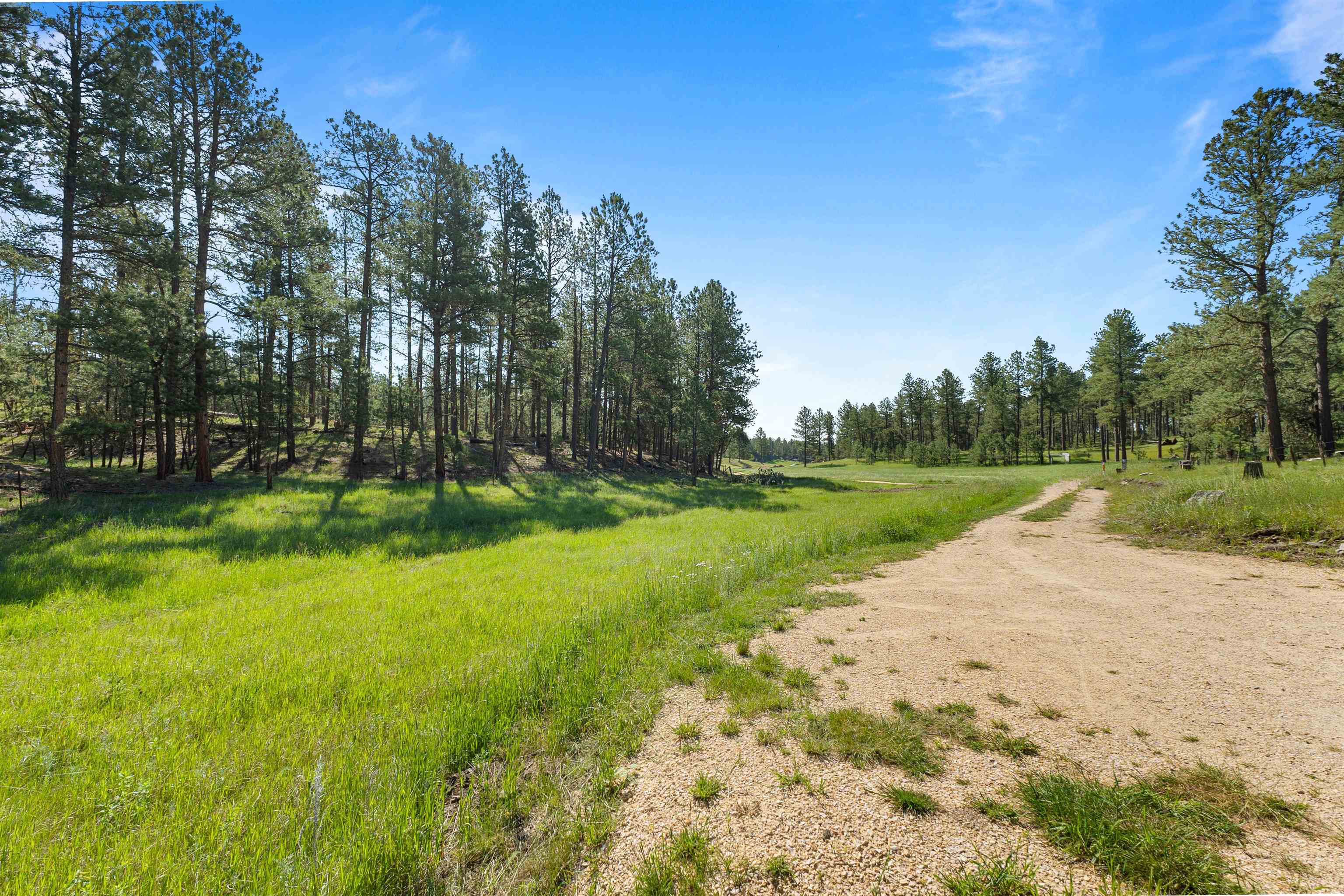 25733 Dakota Sur Drive Property Photo 28
