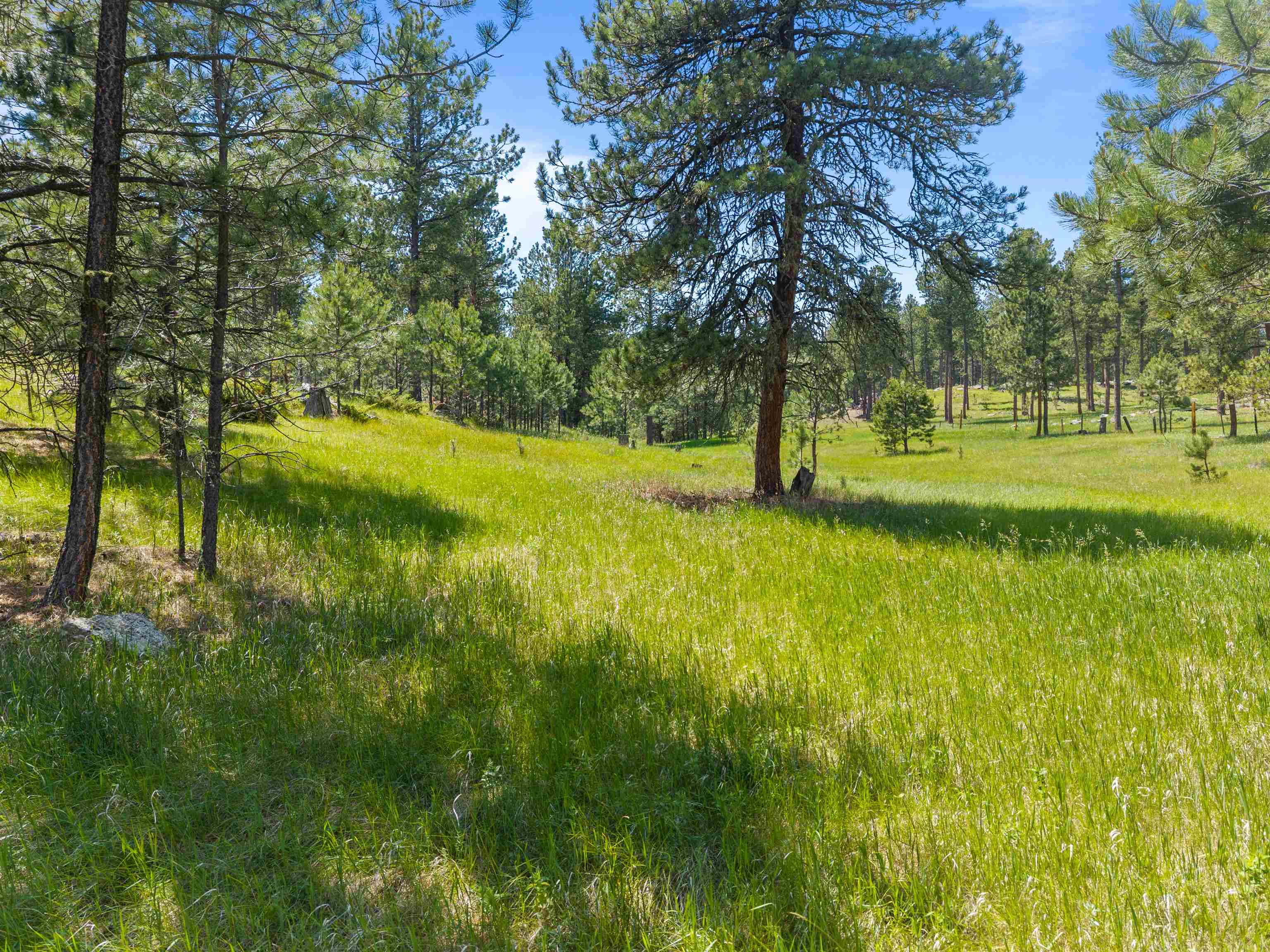 25733 Dakota Sur Drive Property Photo 29