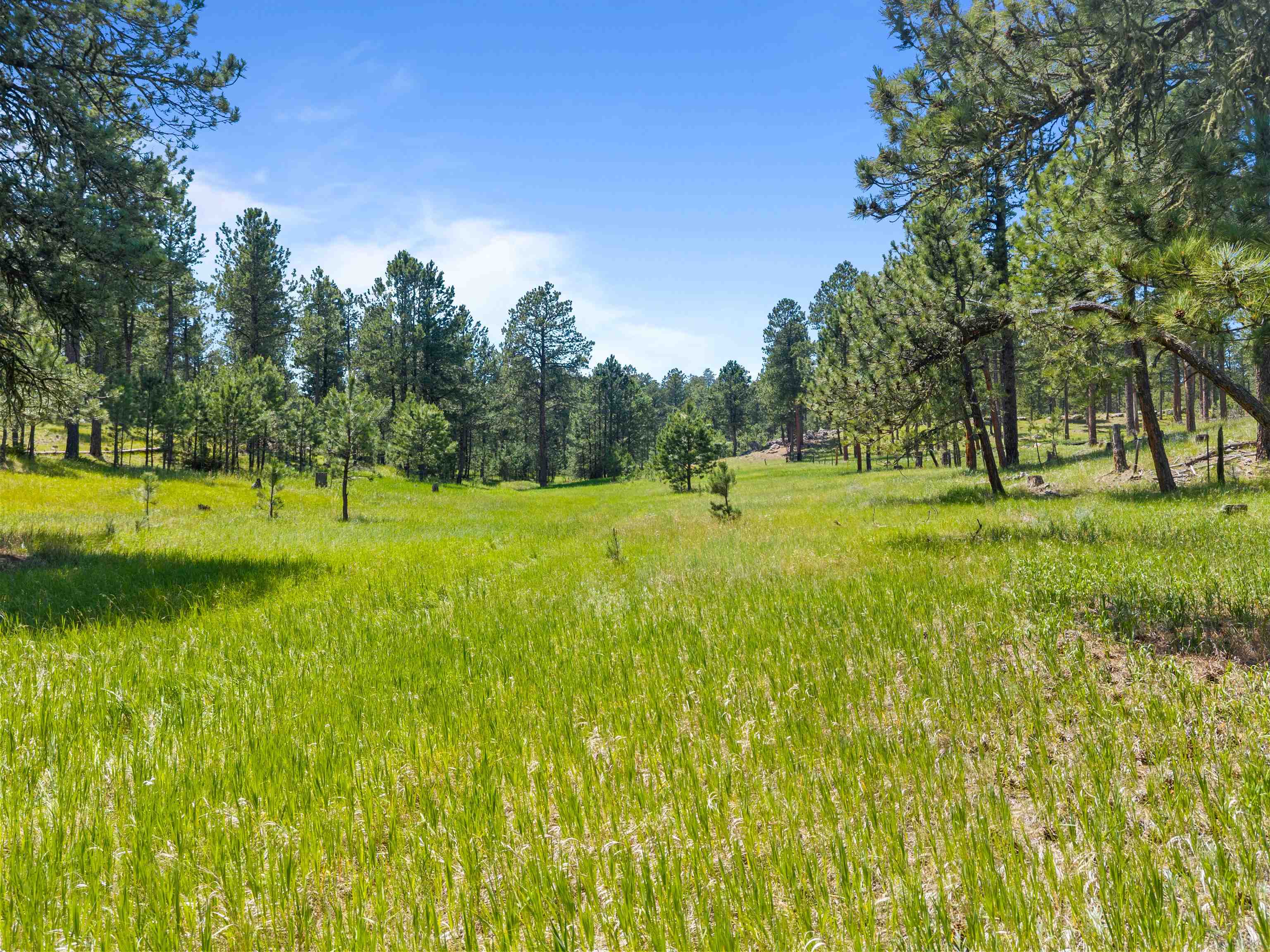 25733 Dakota Sur Drive Property Photo 30