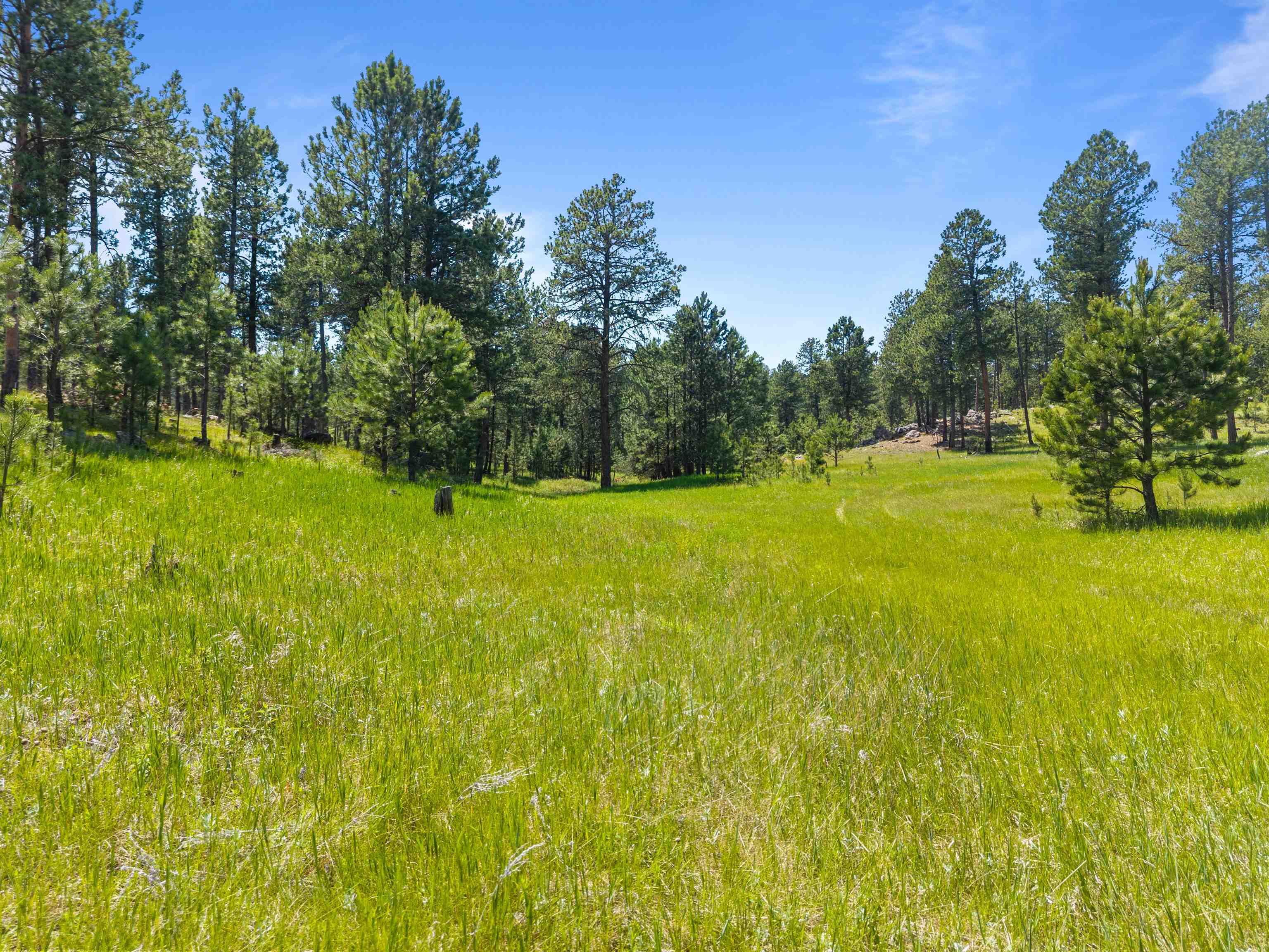 25733 Dakota Sur Drive Property Photo 31
