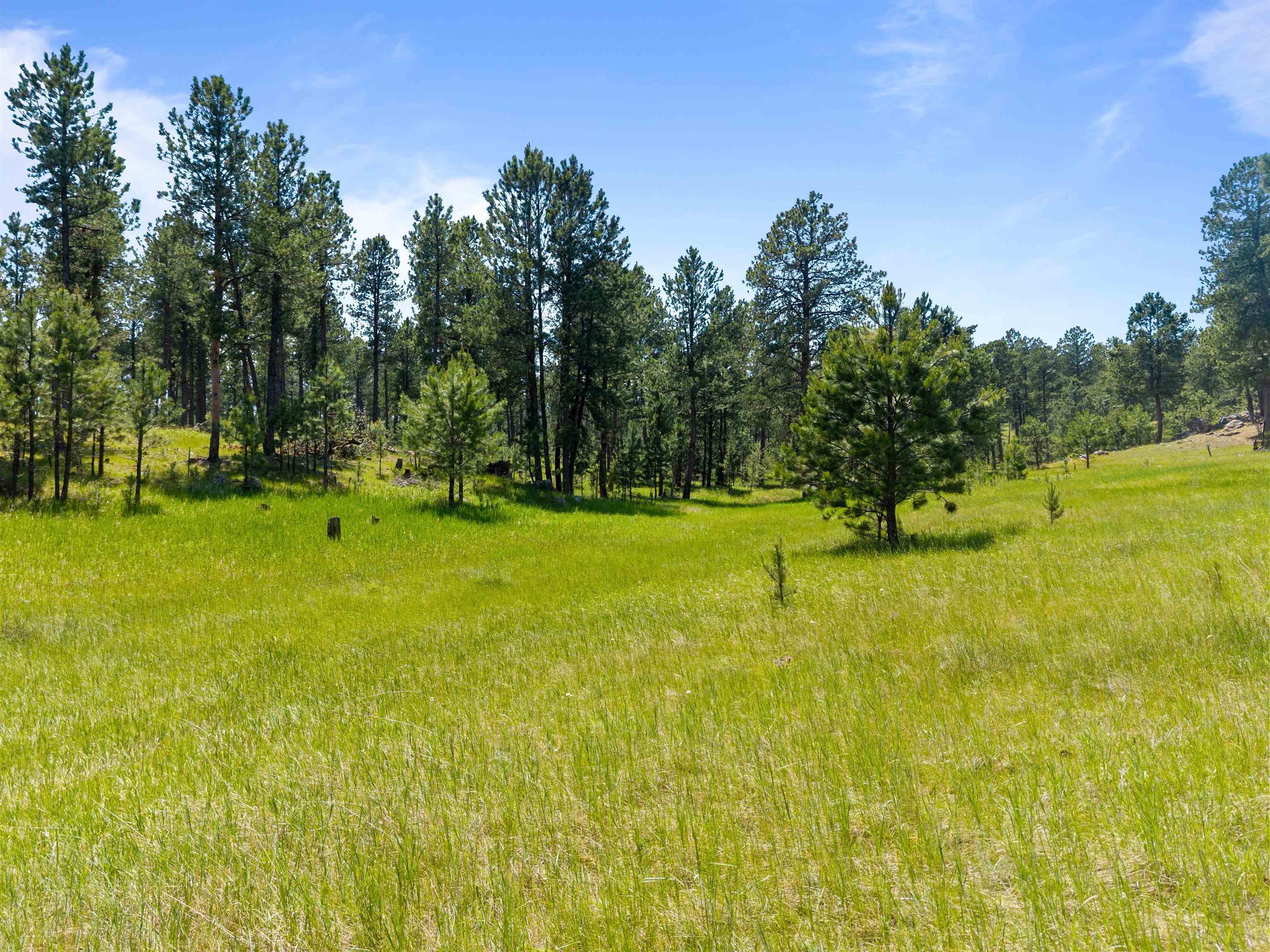 25733 Dakota Sur Drive Property Photo 32