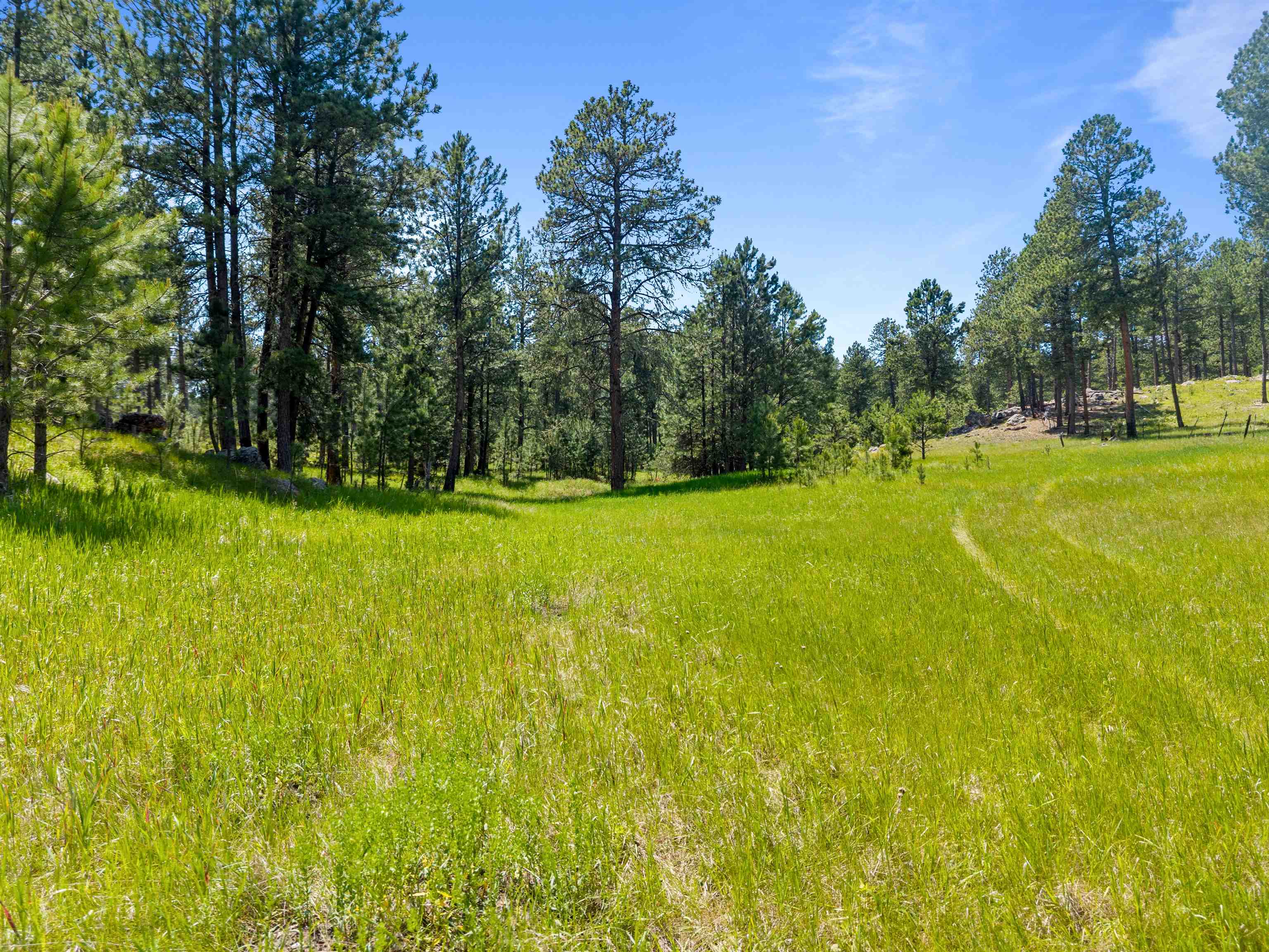 25733 Dakota Sur Drive Property Photo 33
