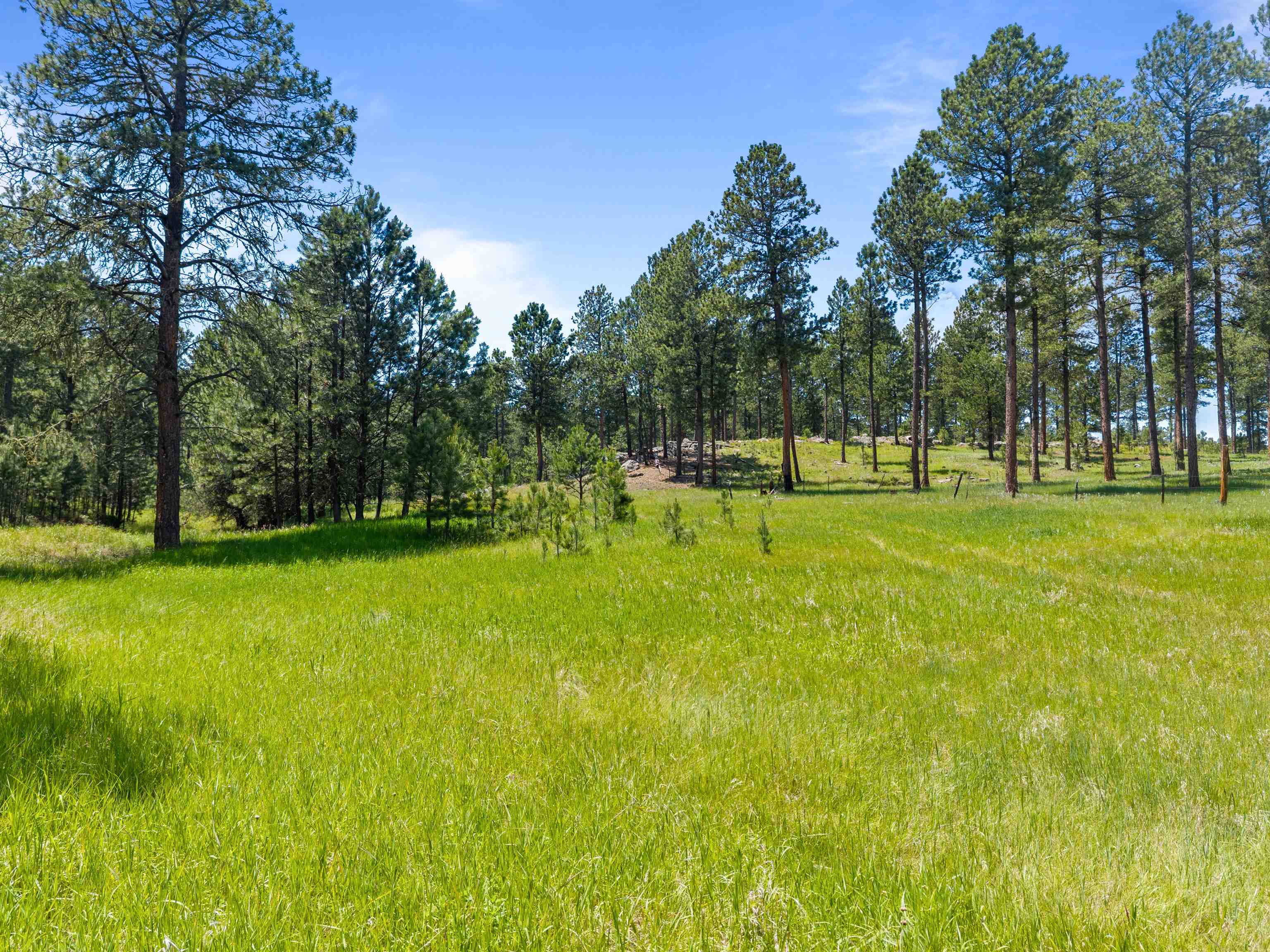25733 Dakota Sur Drive Property Photo 34