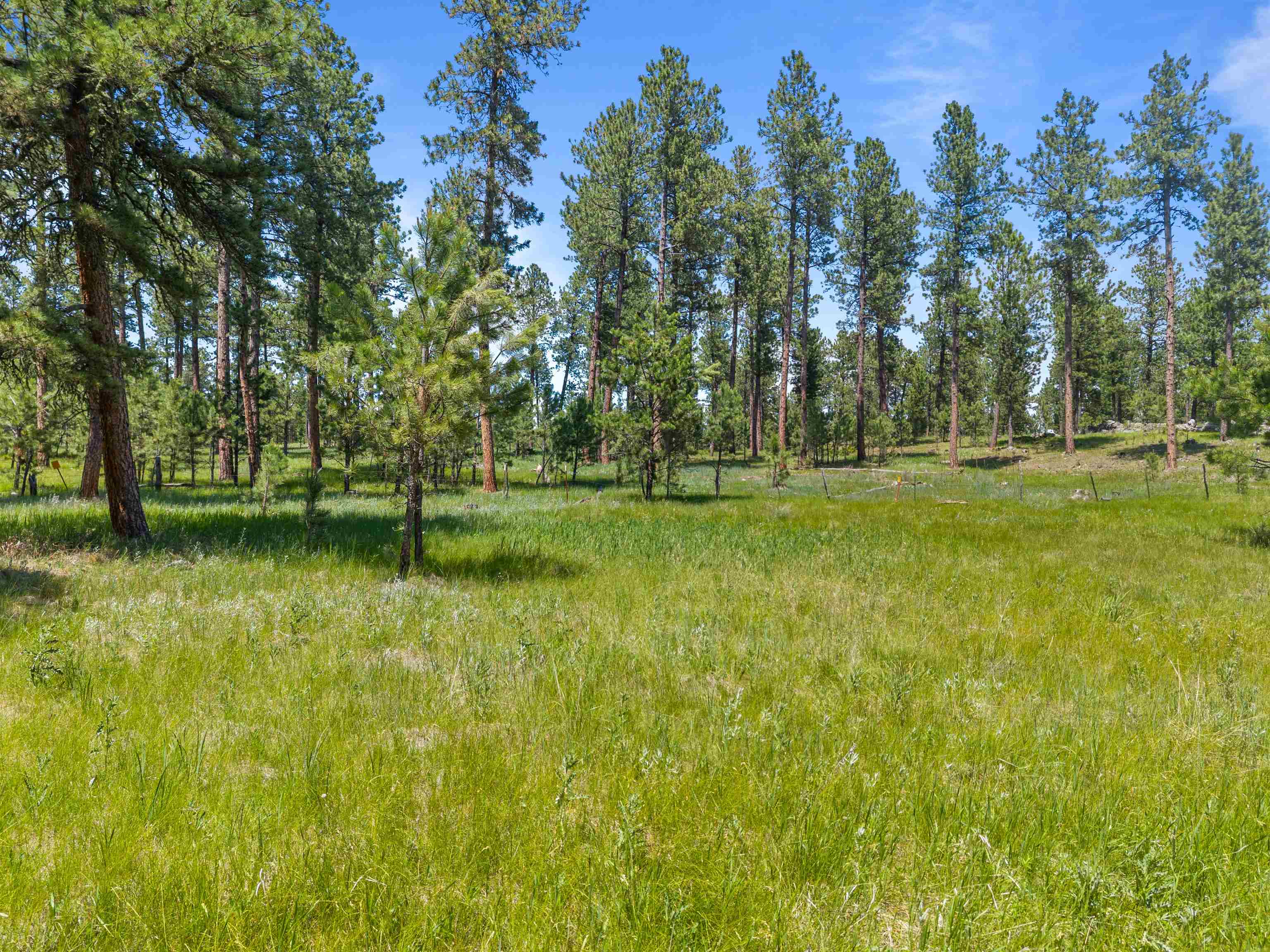 25733 Dakota Sur Drive Property Photo 35