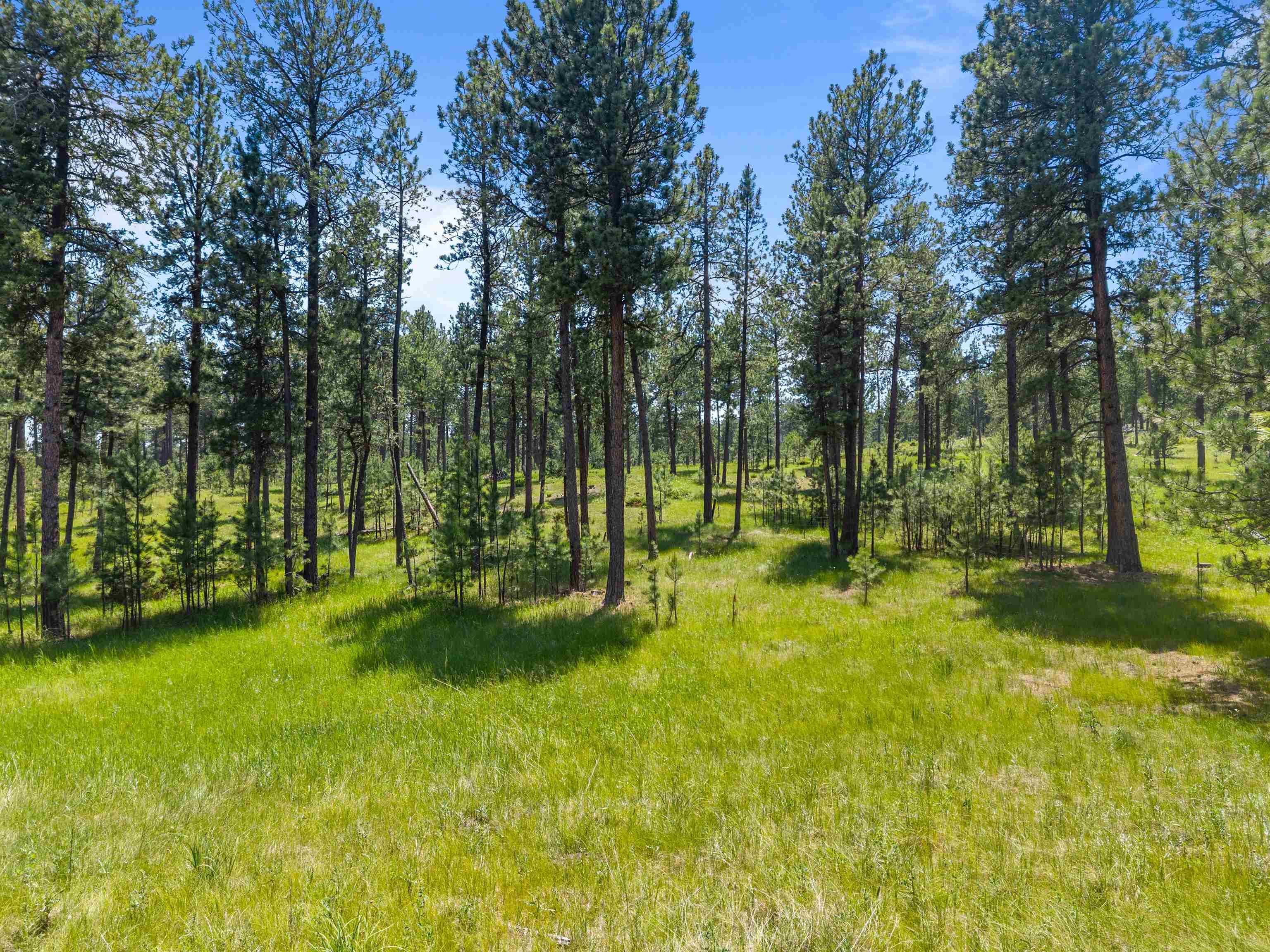 25733 Dakota Sur Drive Property Photo 36