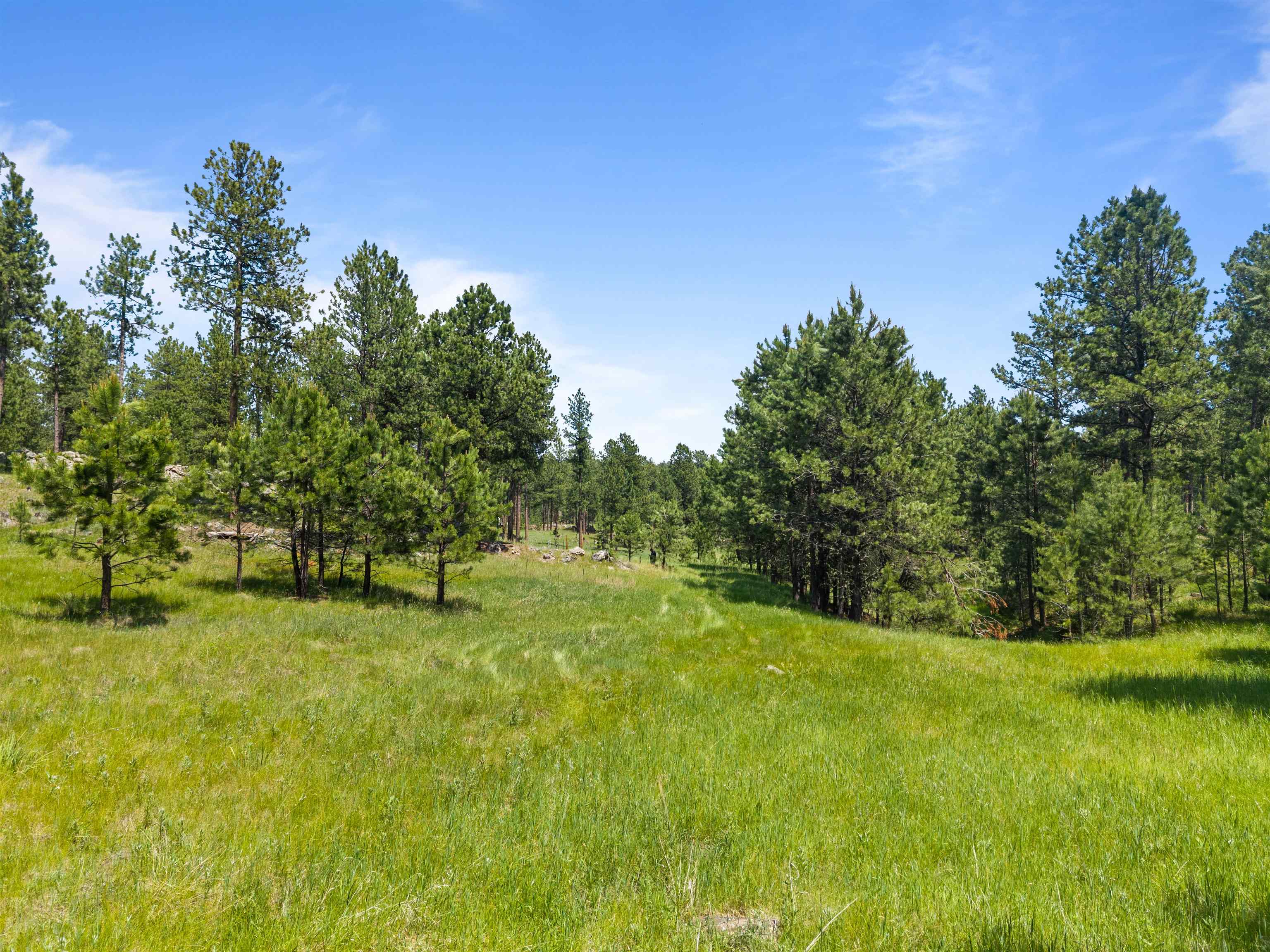 25733 Dakota Sur Drive Property Photo 37