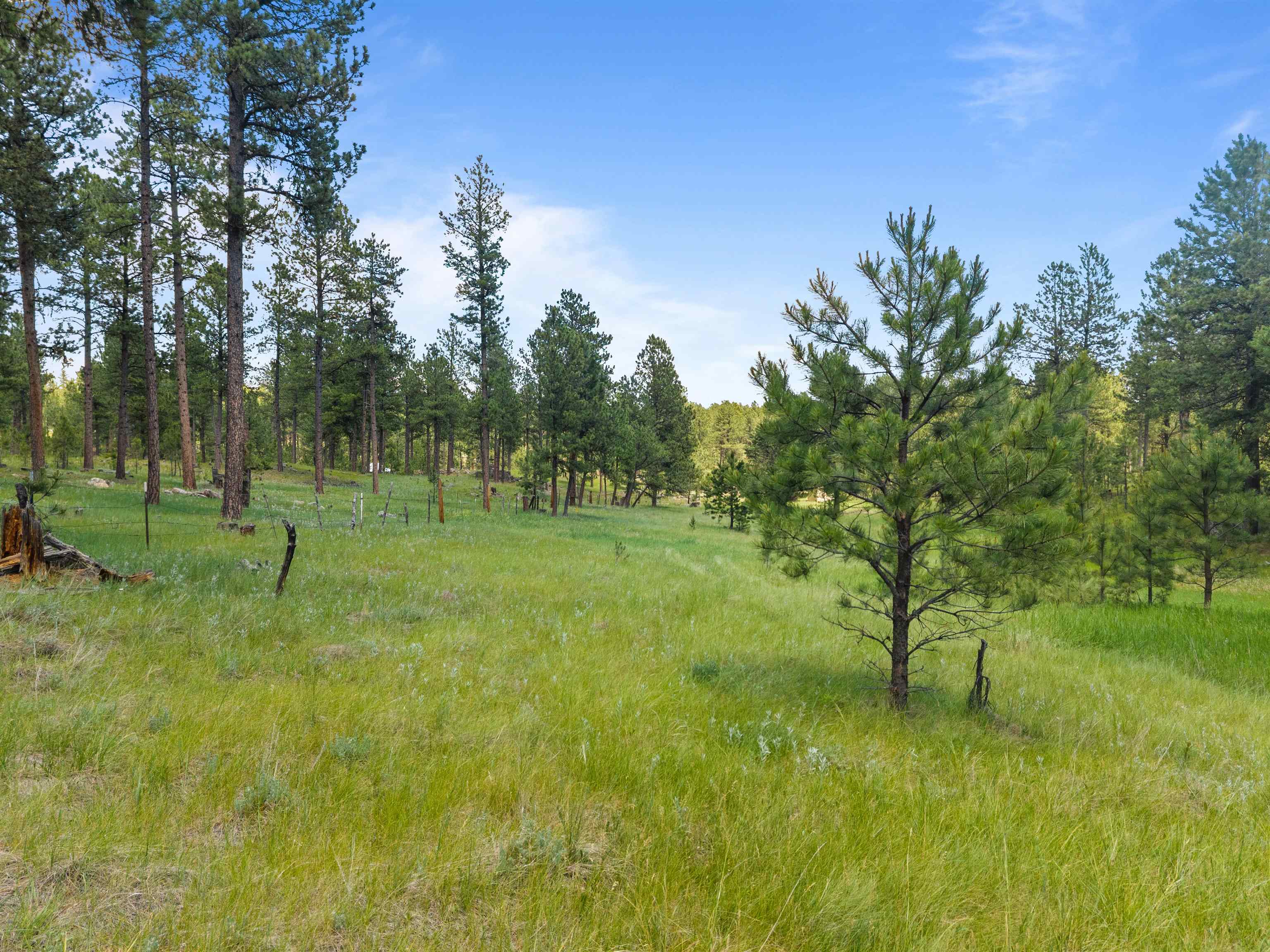 25733 Dakota Sur Drive Property Photo 38