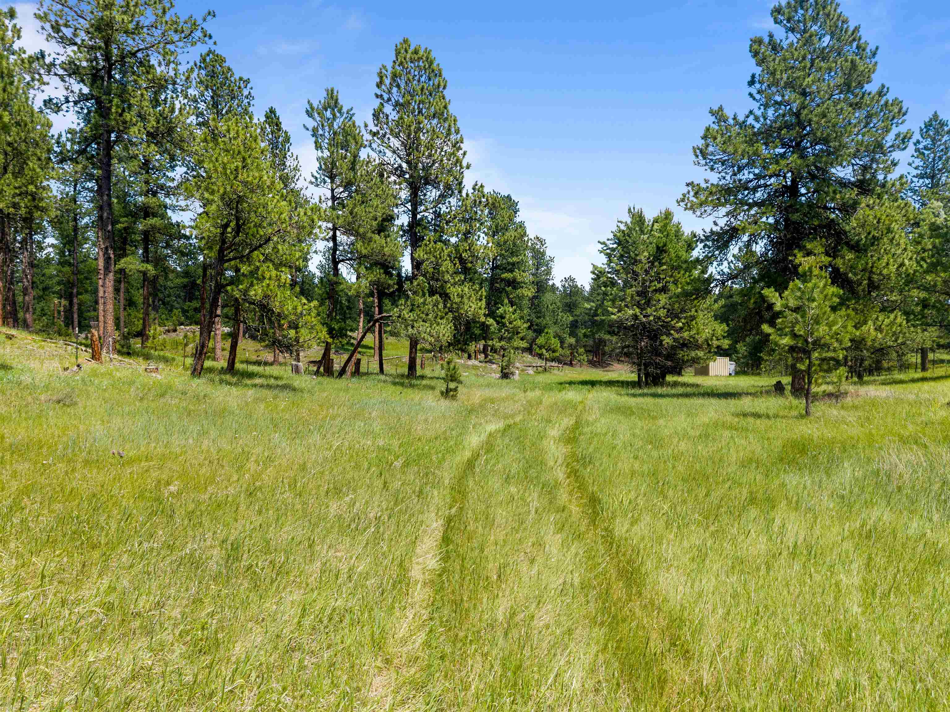 25733 Dakota Sur Drive Property Photo 39