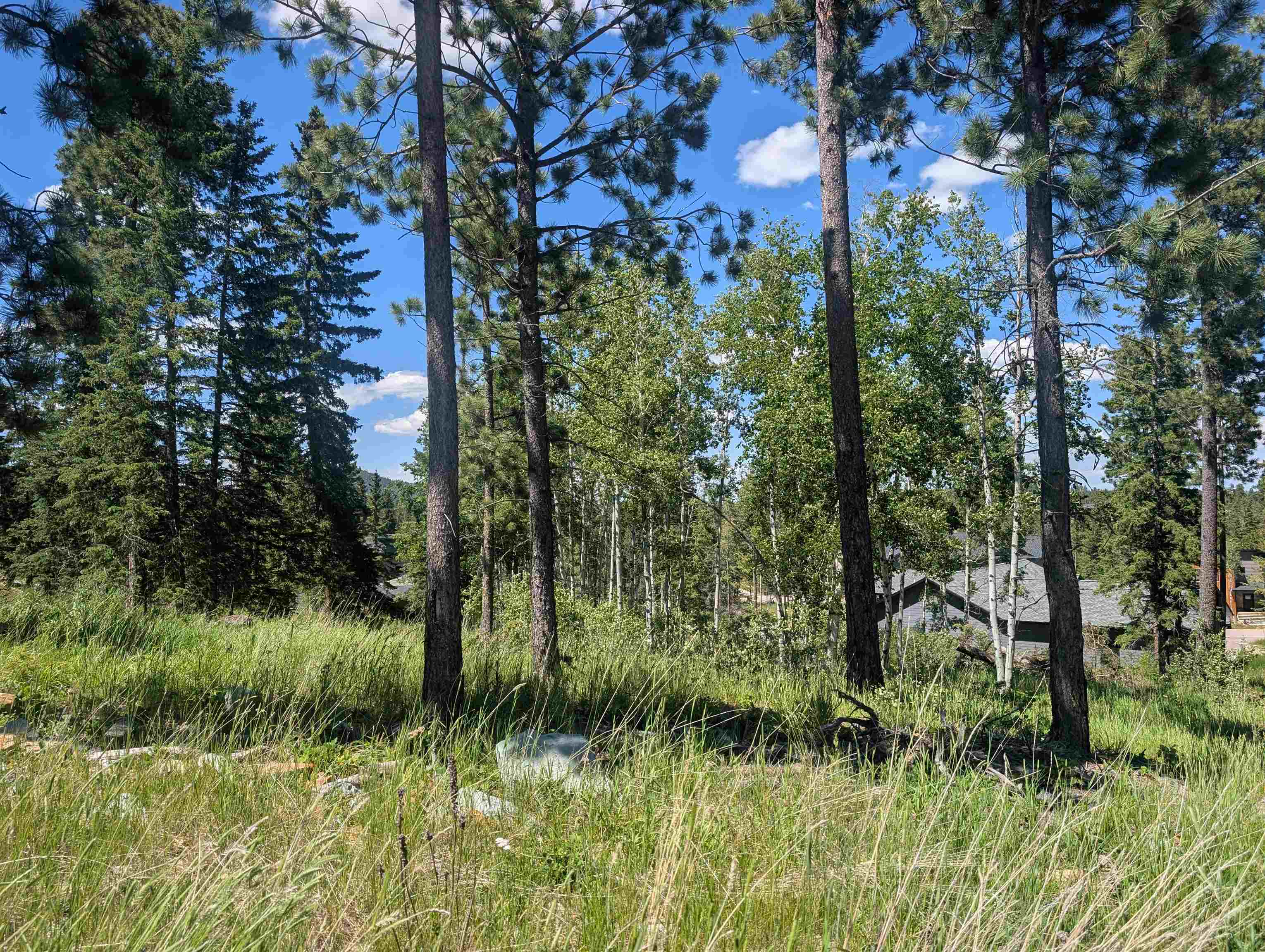 Lot 22 Overlook Pass Property Photo 1