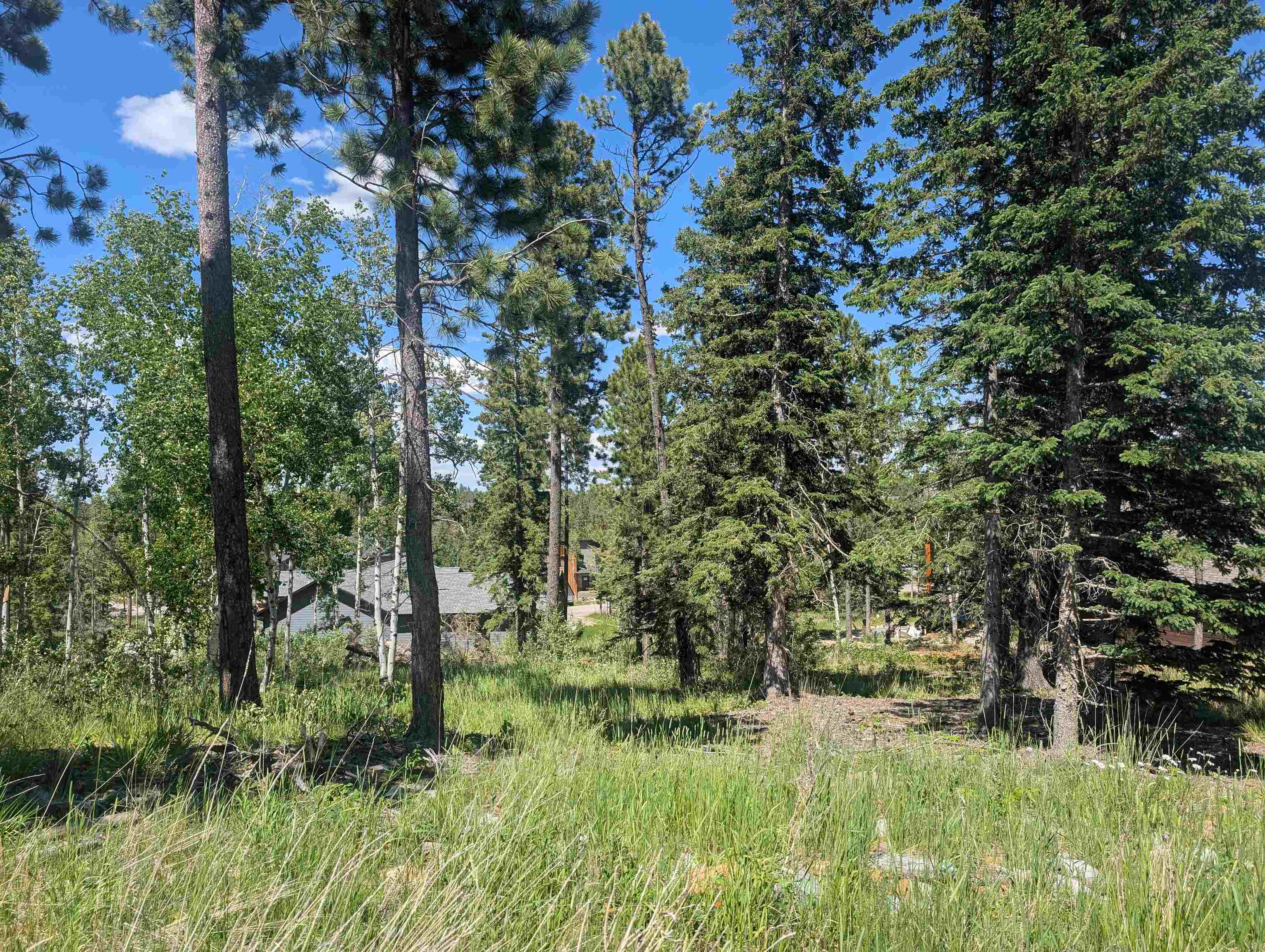 Lot 22 Overlook Pass Property Photo 2