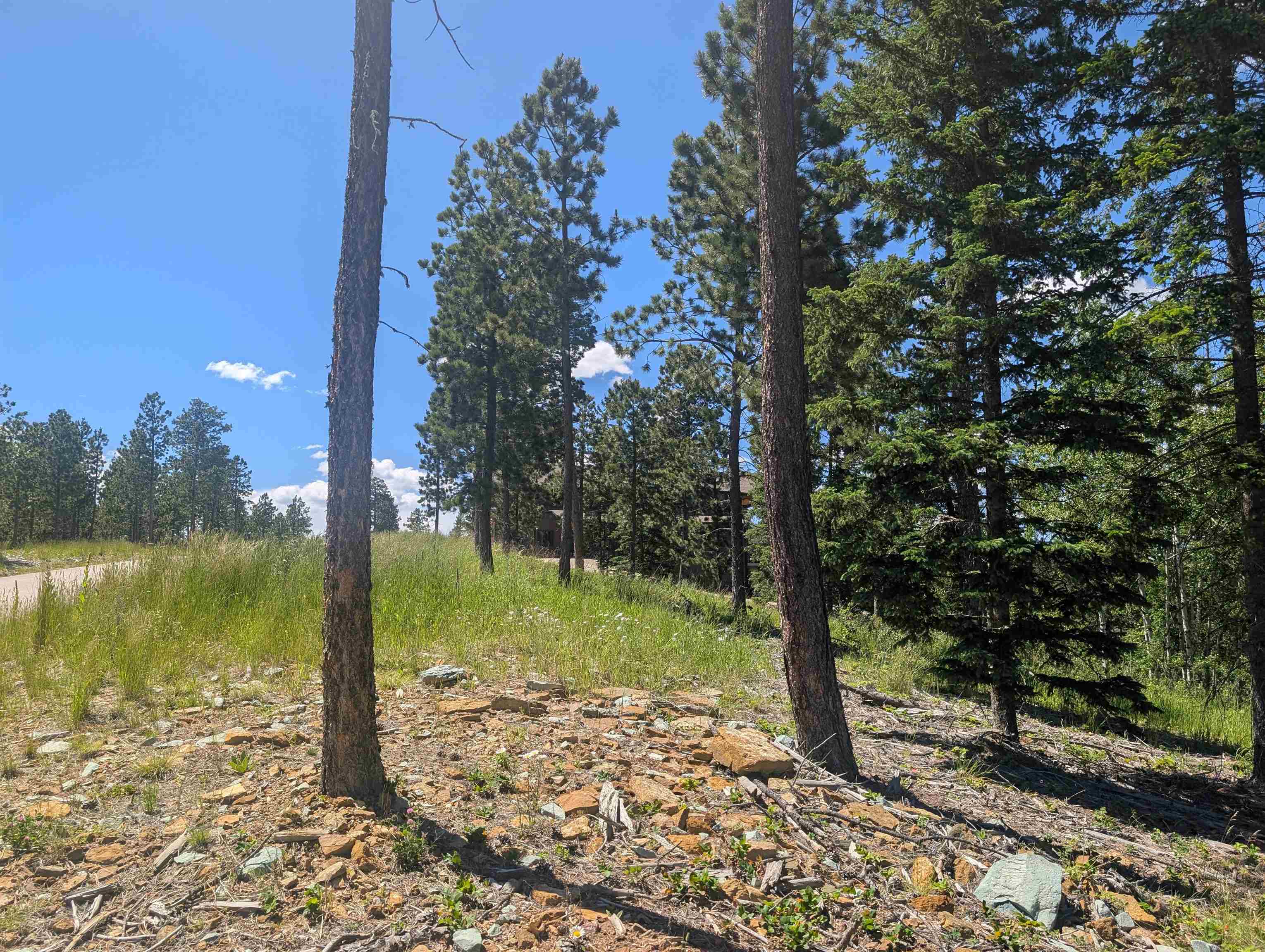 Lot 22 Overlook Pass Property Photo 3
