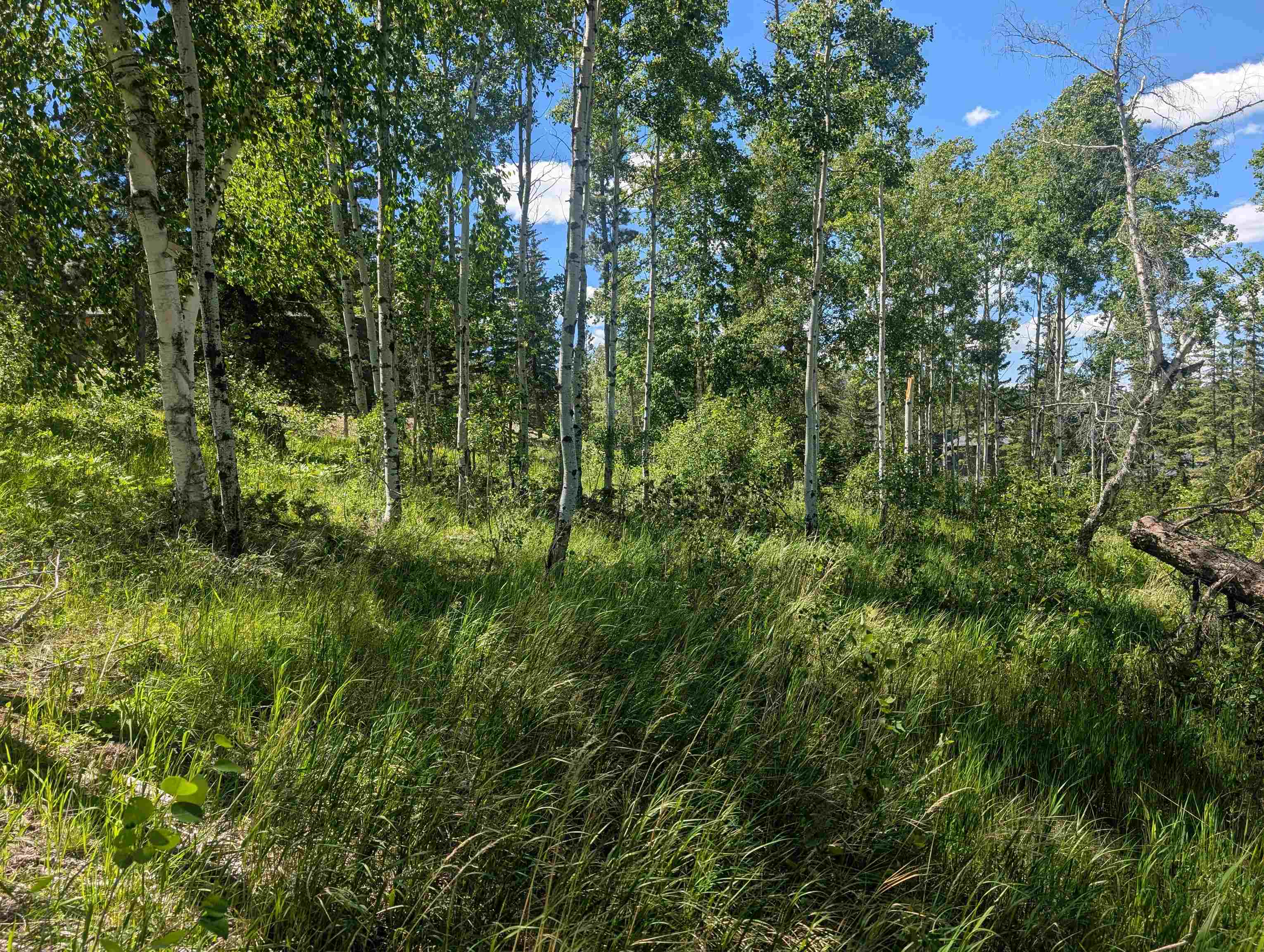 Lot 22 Overlook Pass Property Photo 4