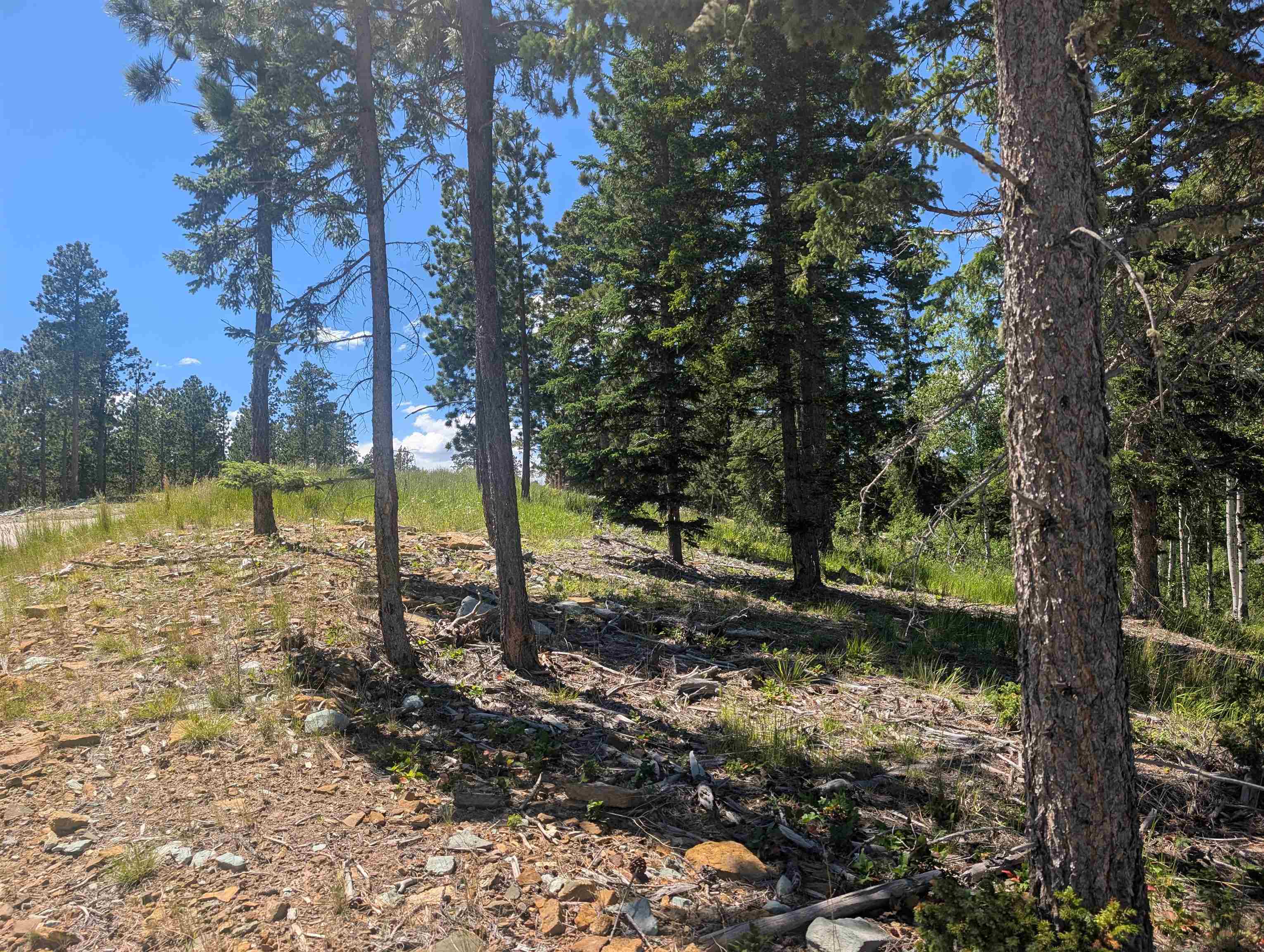 Lot 22 Overlook Pass Property Photo 5