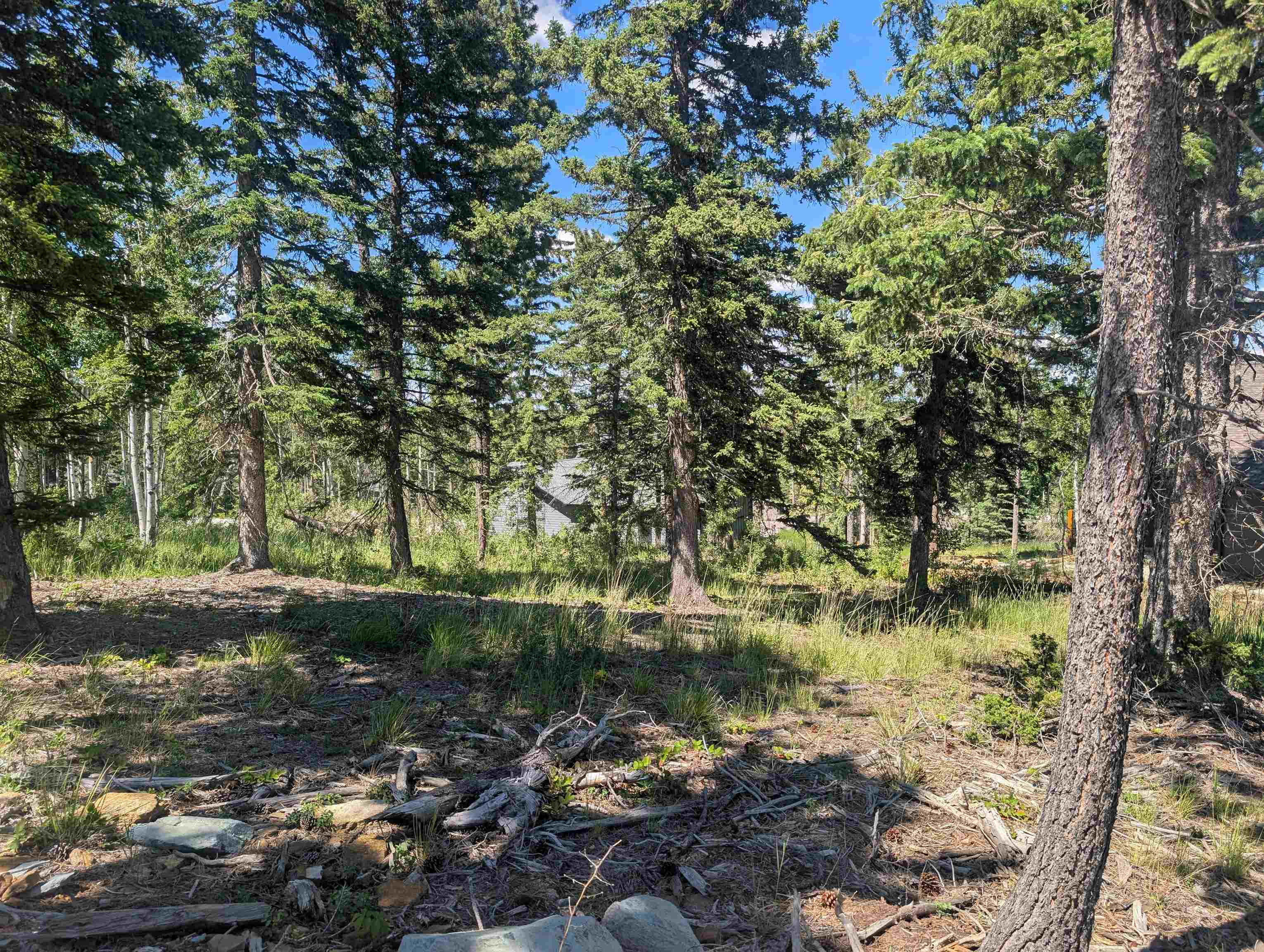 Lot 22 Overlook Pass Property Photo 6