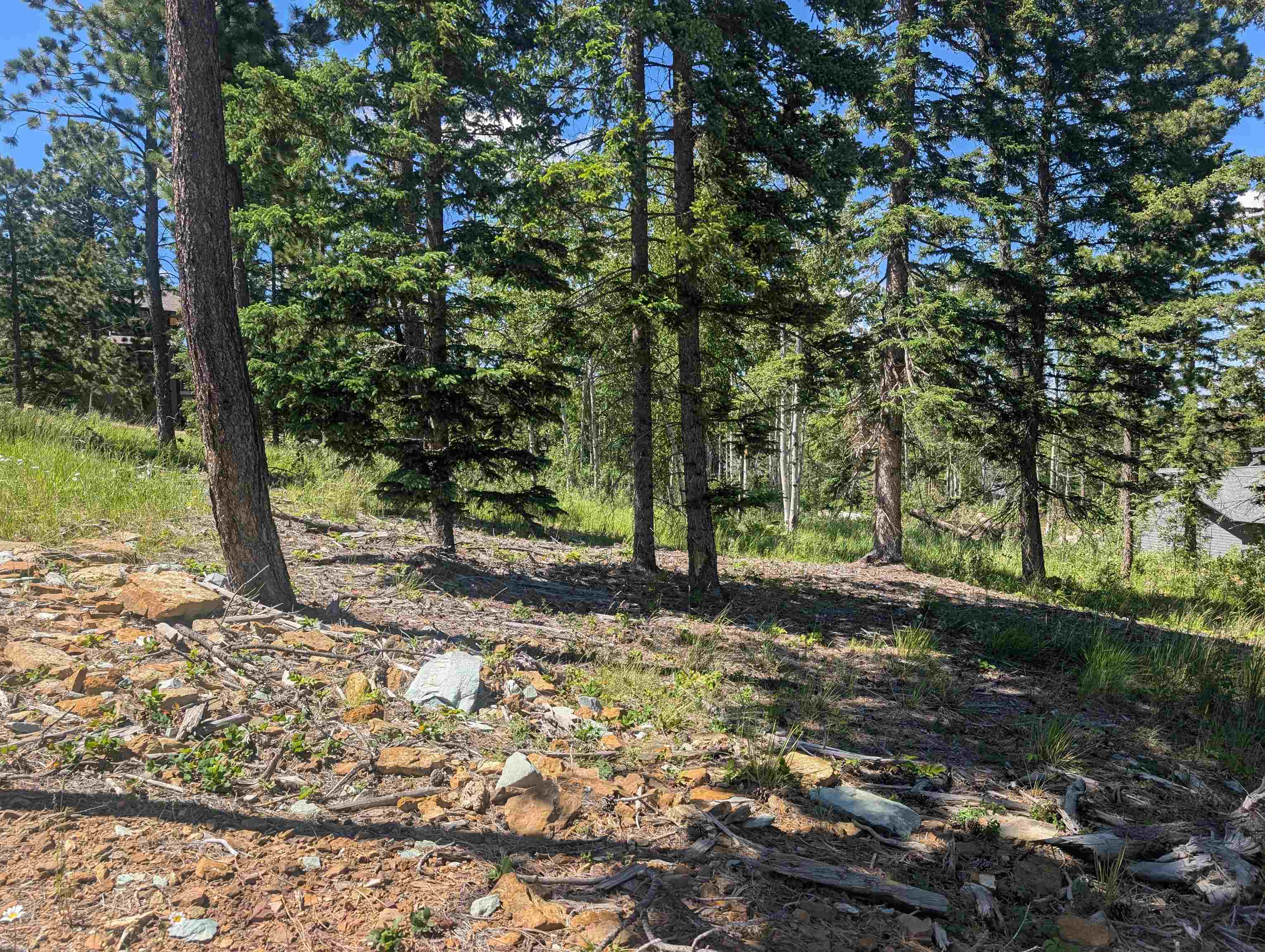 Lot 22 Overlook Pass Property Photo 7