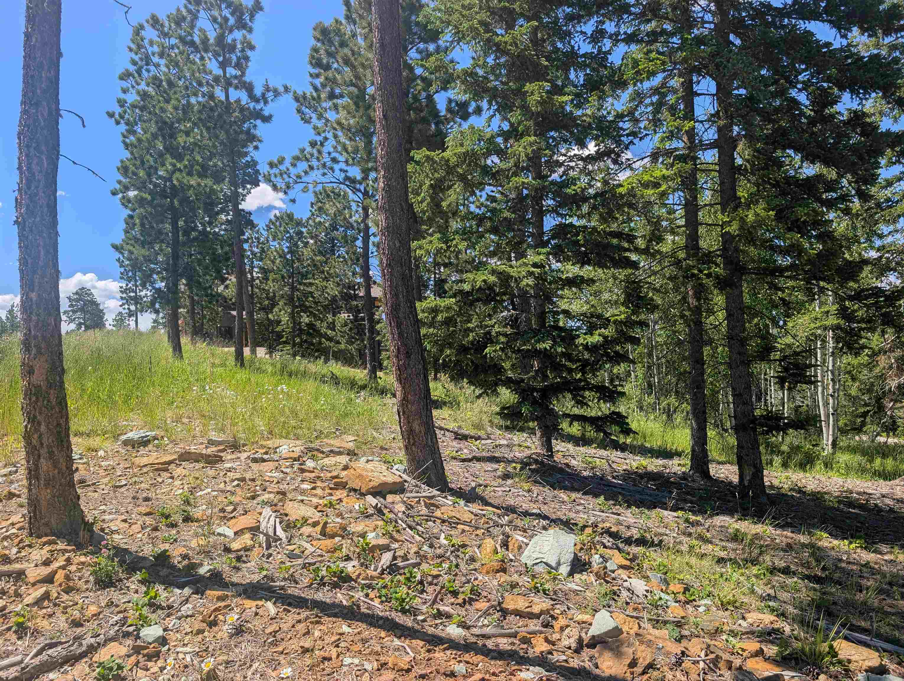 Lot 22 Overlook Pass Property Photo 8