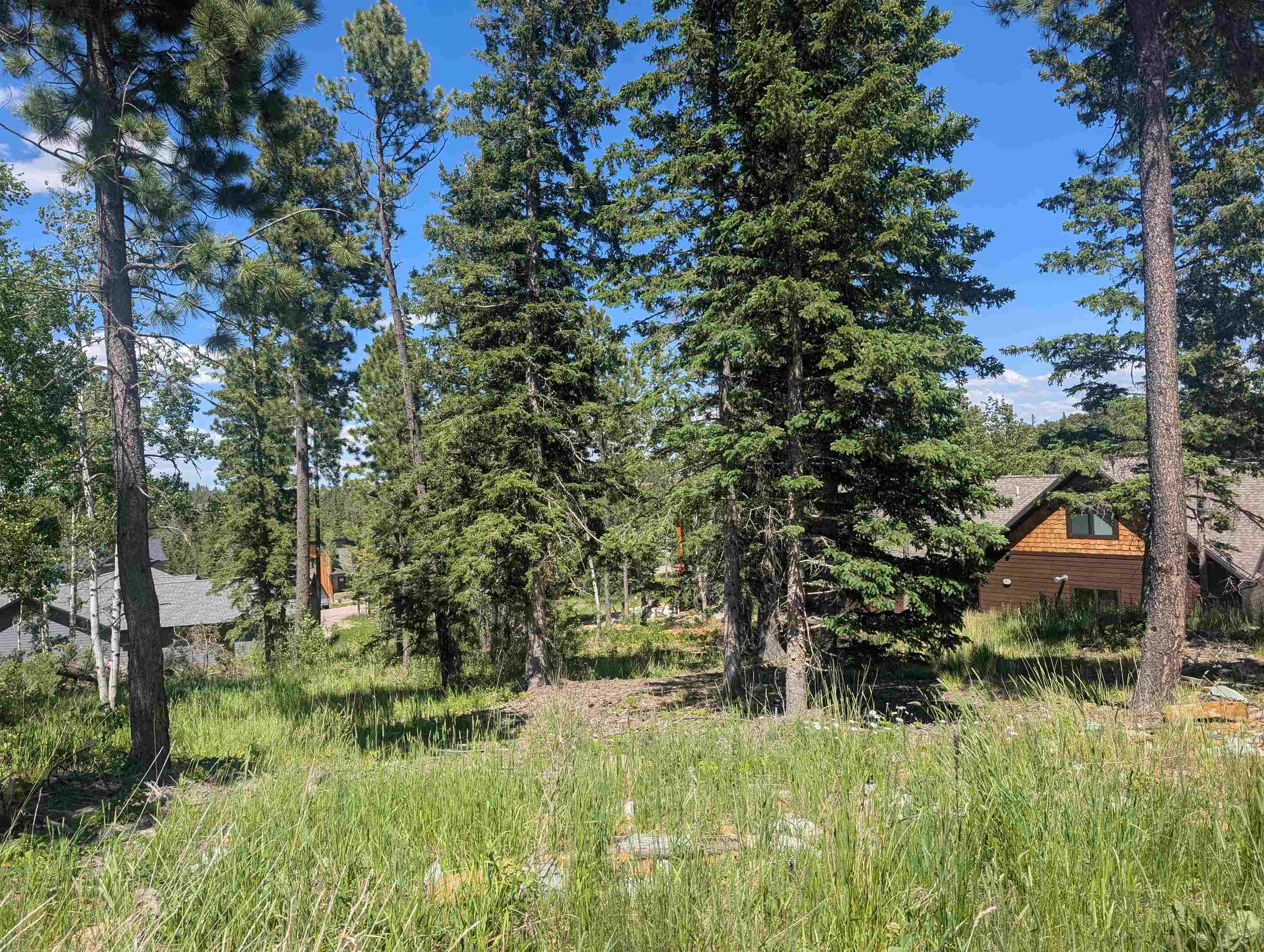 Lot 22 Overlook Pass Property Photo 9
