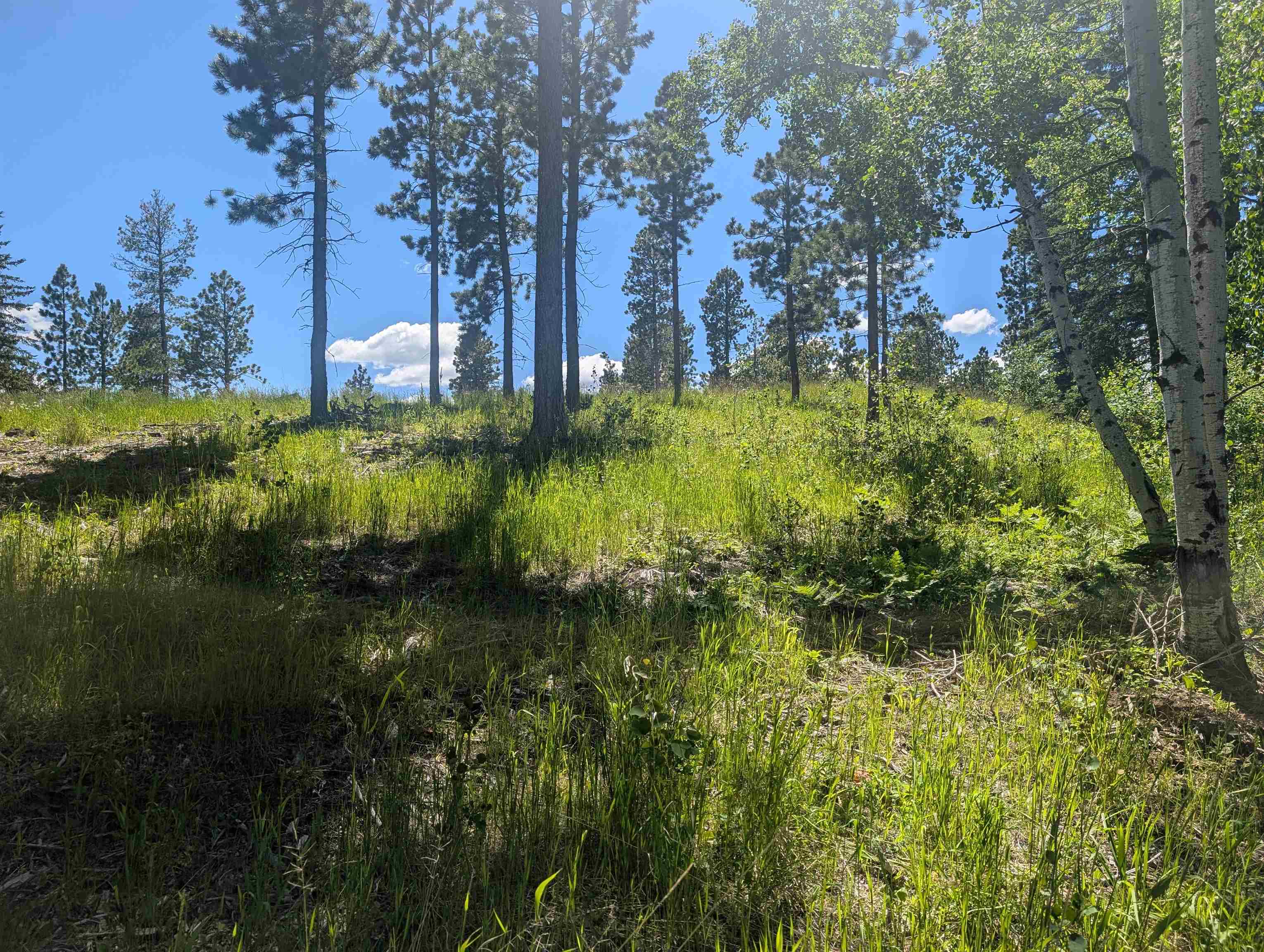 Lot 22 Overlook Pass Property Photo 10