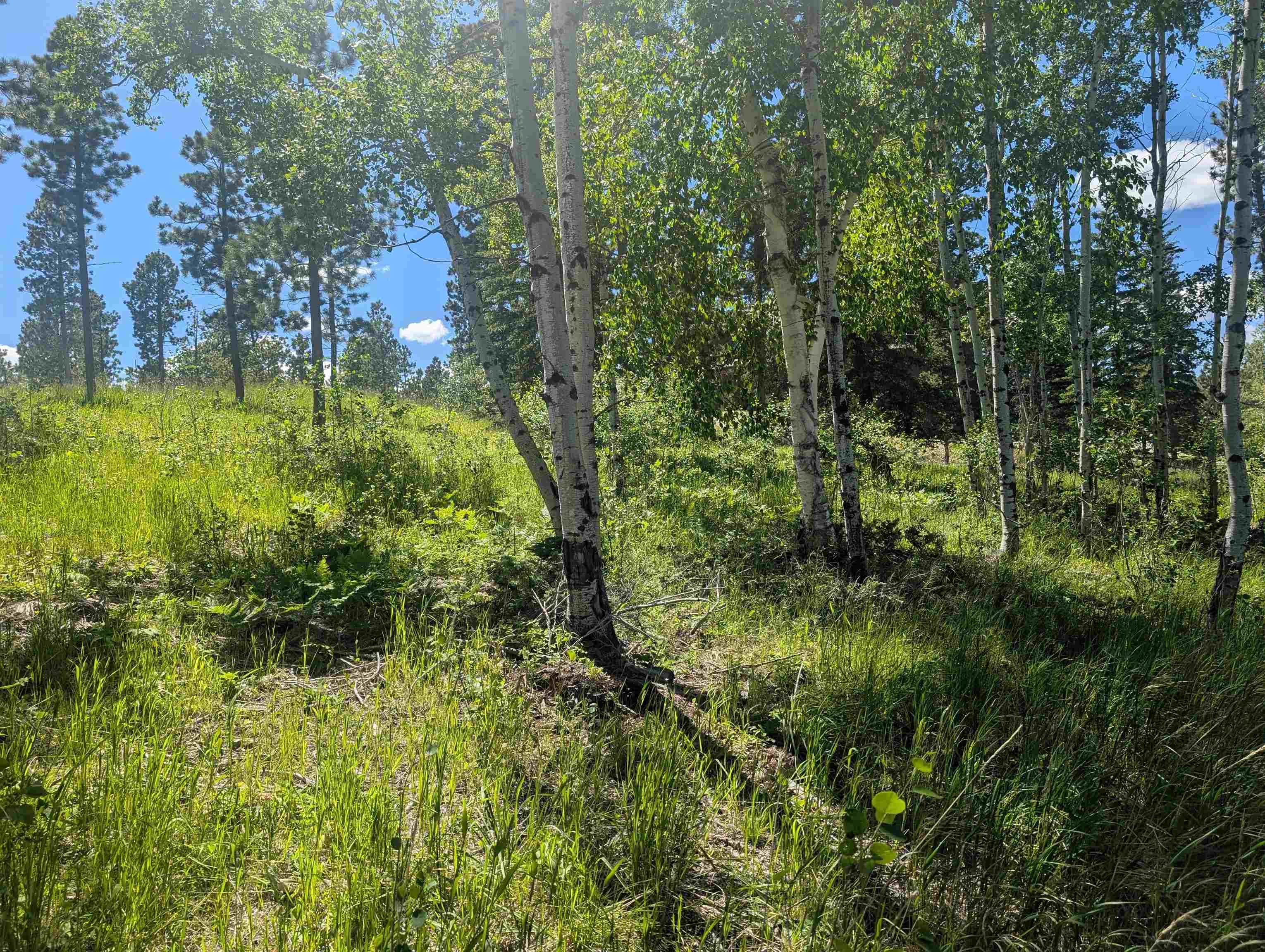 Lot 22 Overlook Pass Property Photo 11