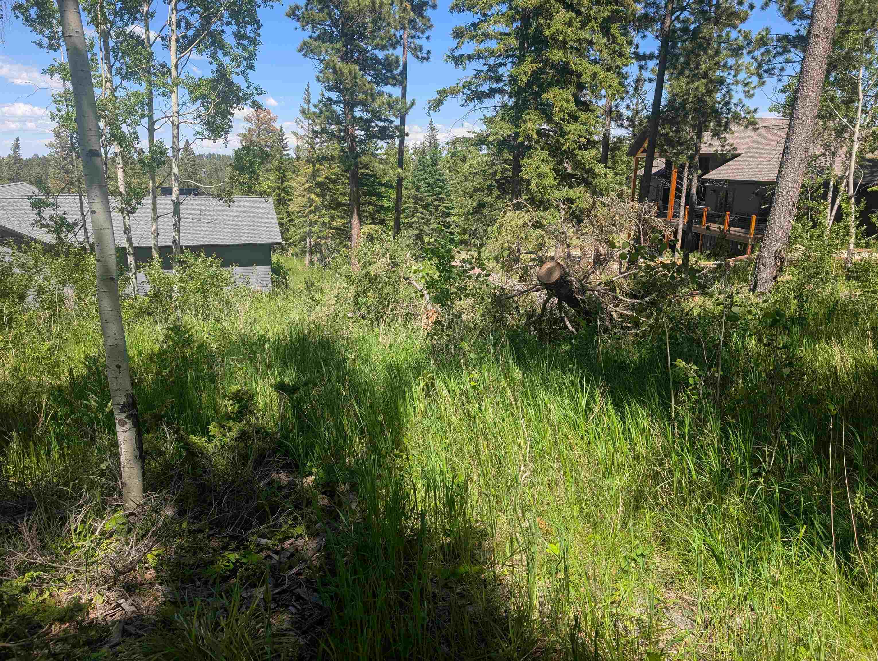 Lot 22 Overlook Pass Property Photo 12
