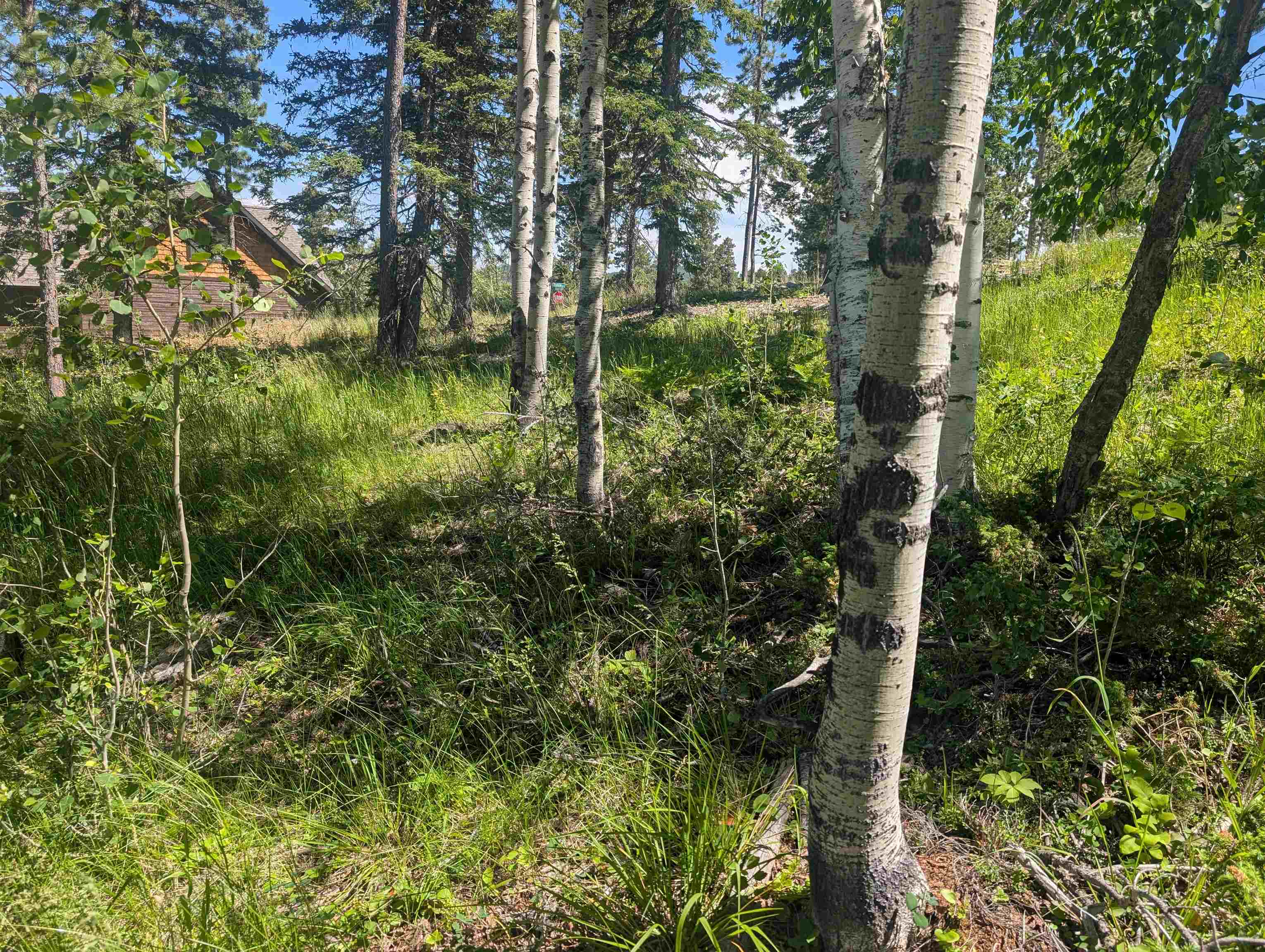 Lot 22 Overlook Pass Property Photo 13