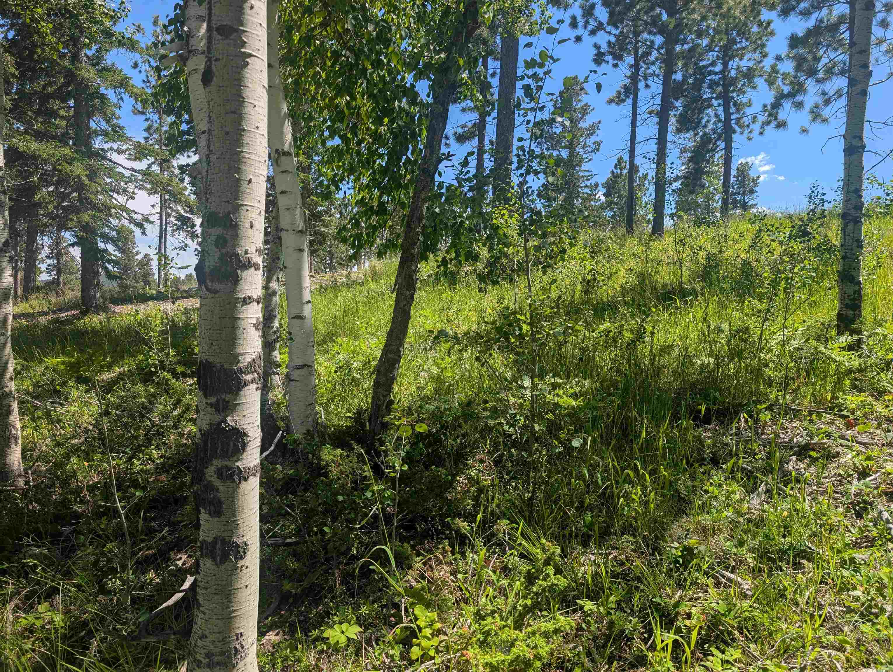 Lot 22 Overlook Pass Property Photo 15