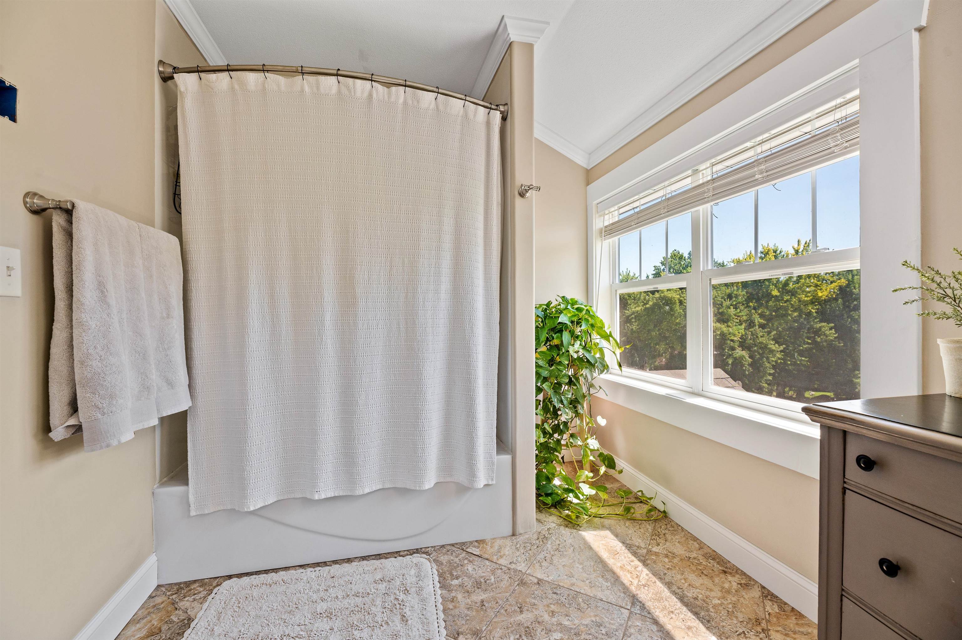 1302 Hooker Street Property Photo 17
