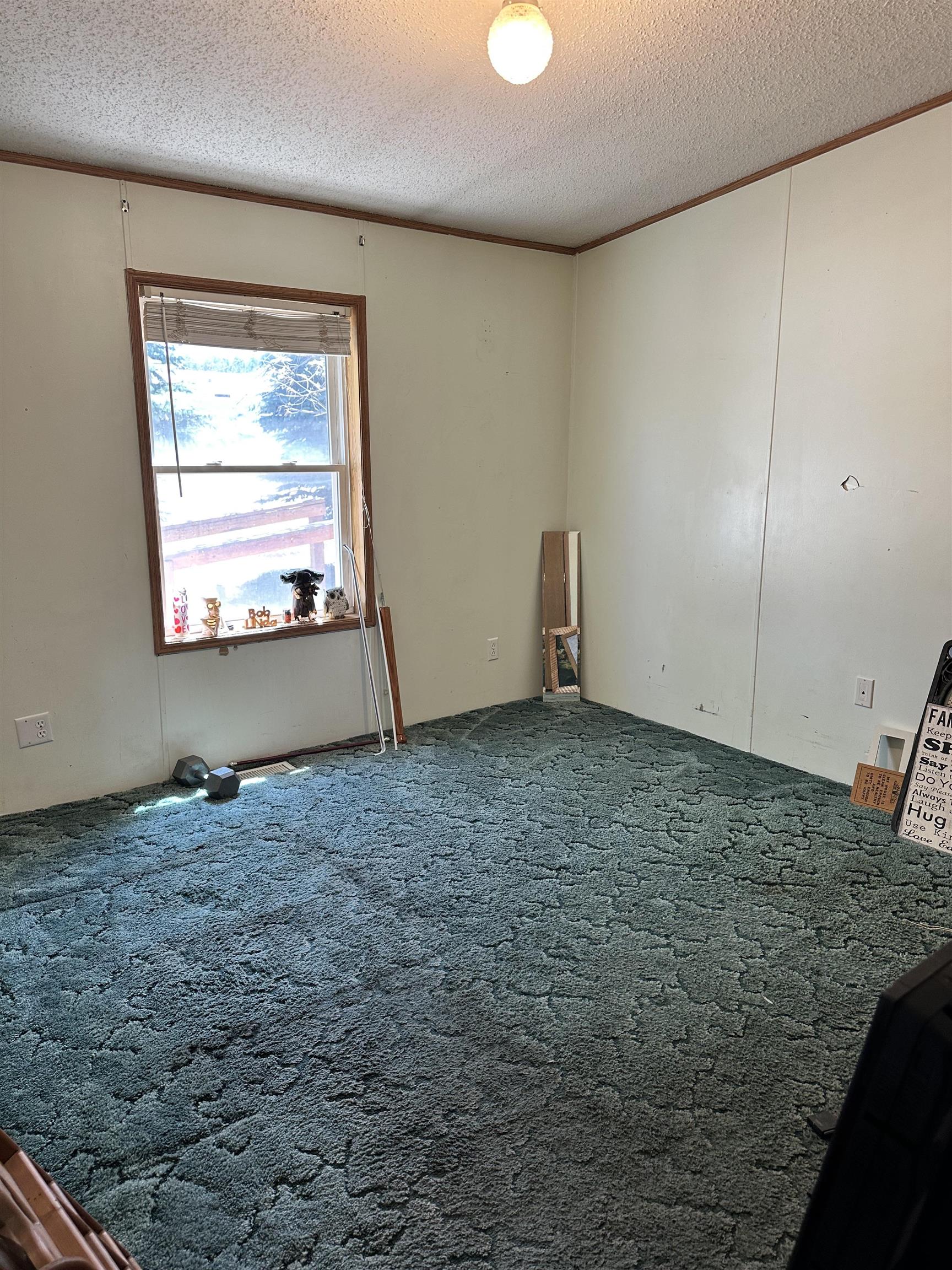 1320 Spearfish Mountain Lane Property Photo 13