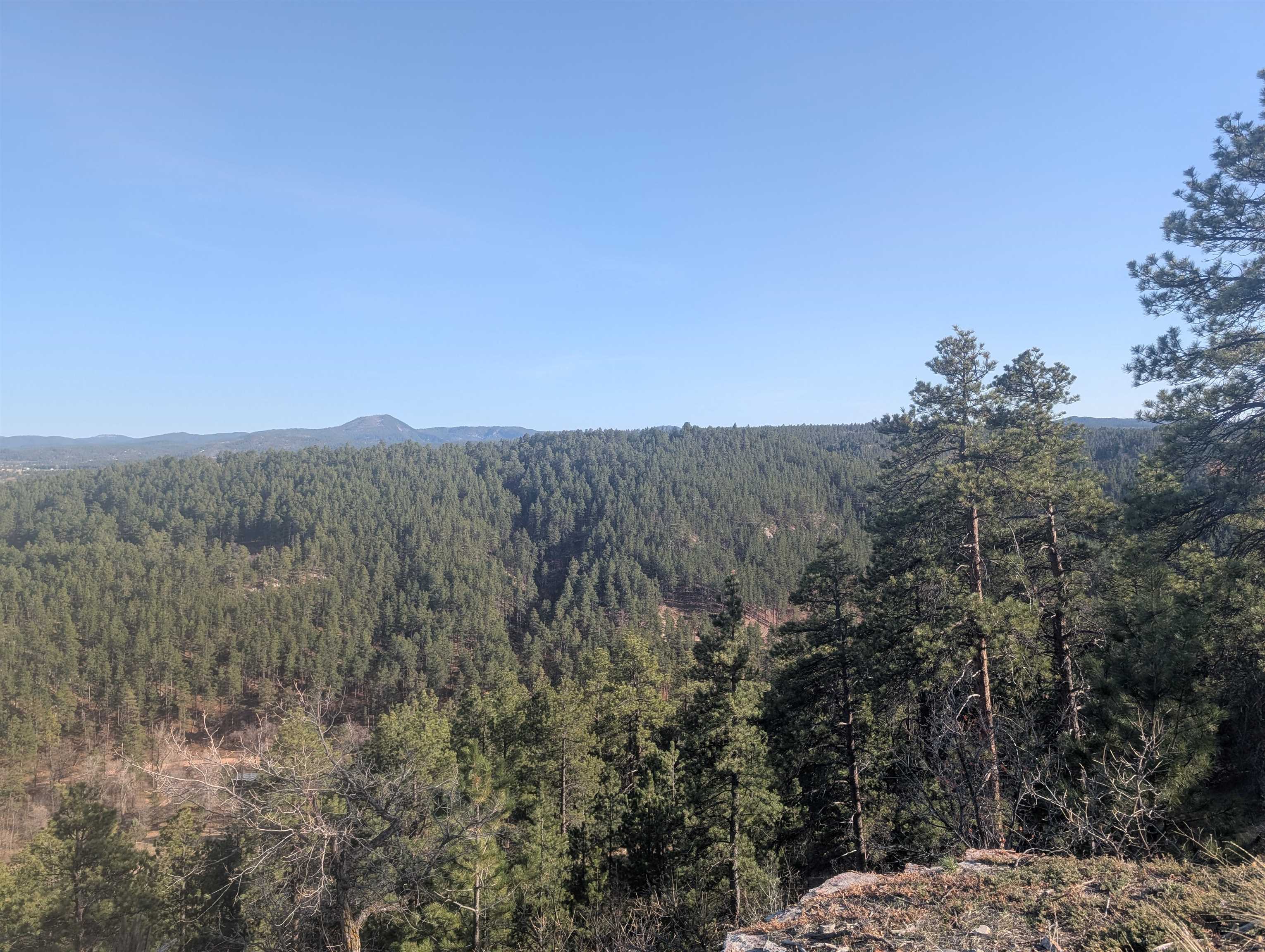 Lot 27 Timberline Road Property Photo 3