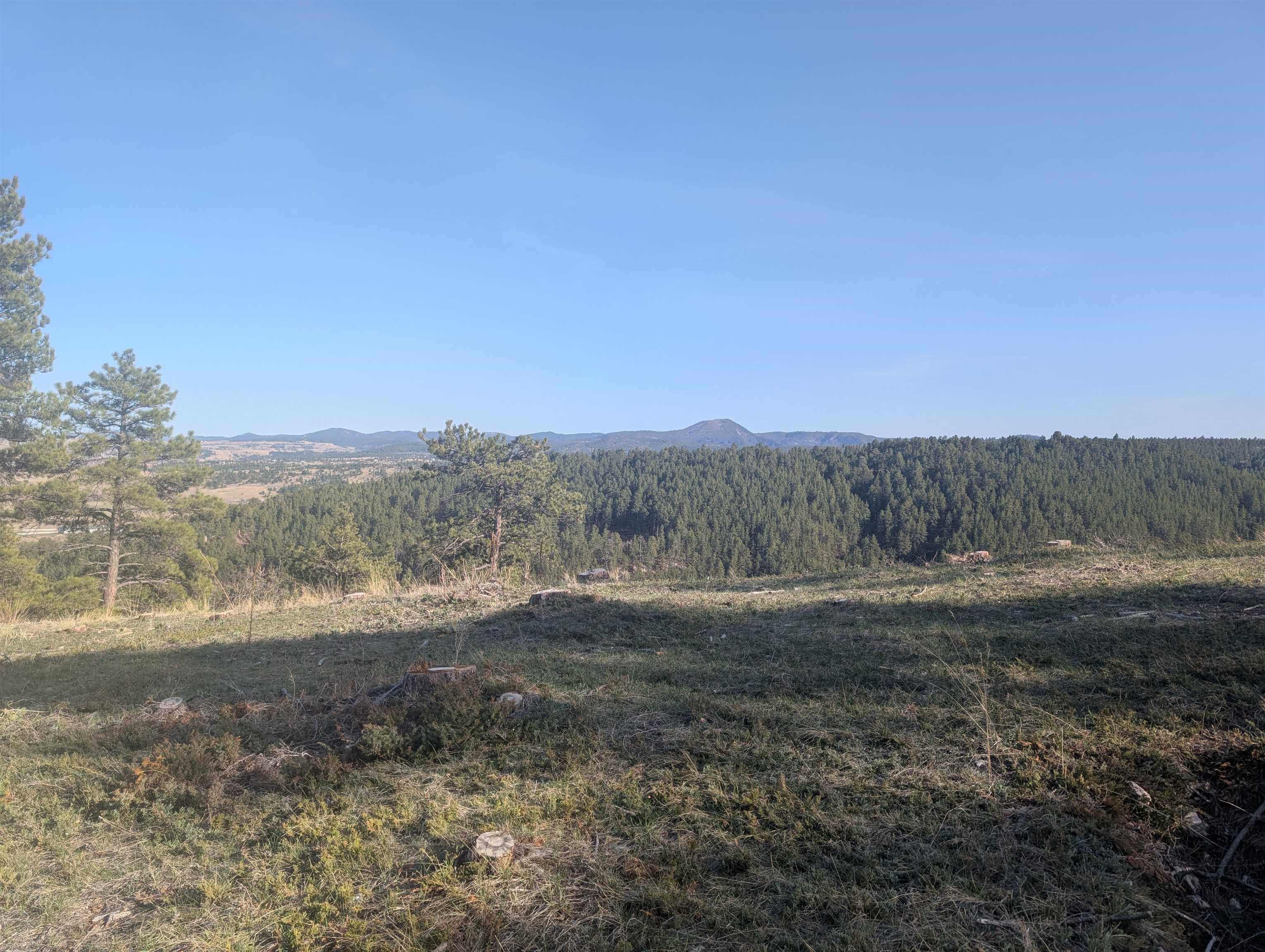Lot 27 Timberline Road Property Photo 8