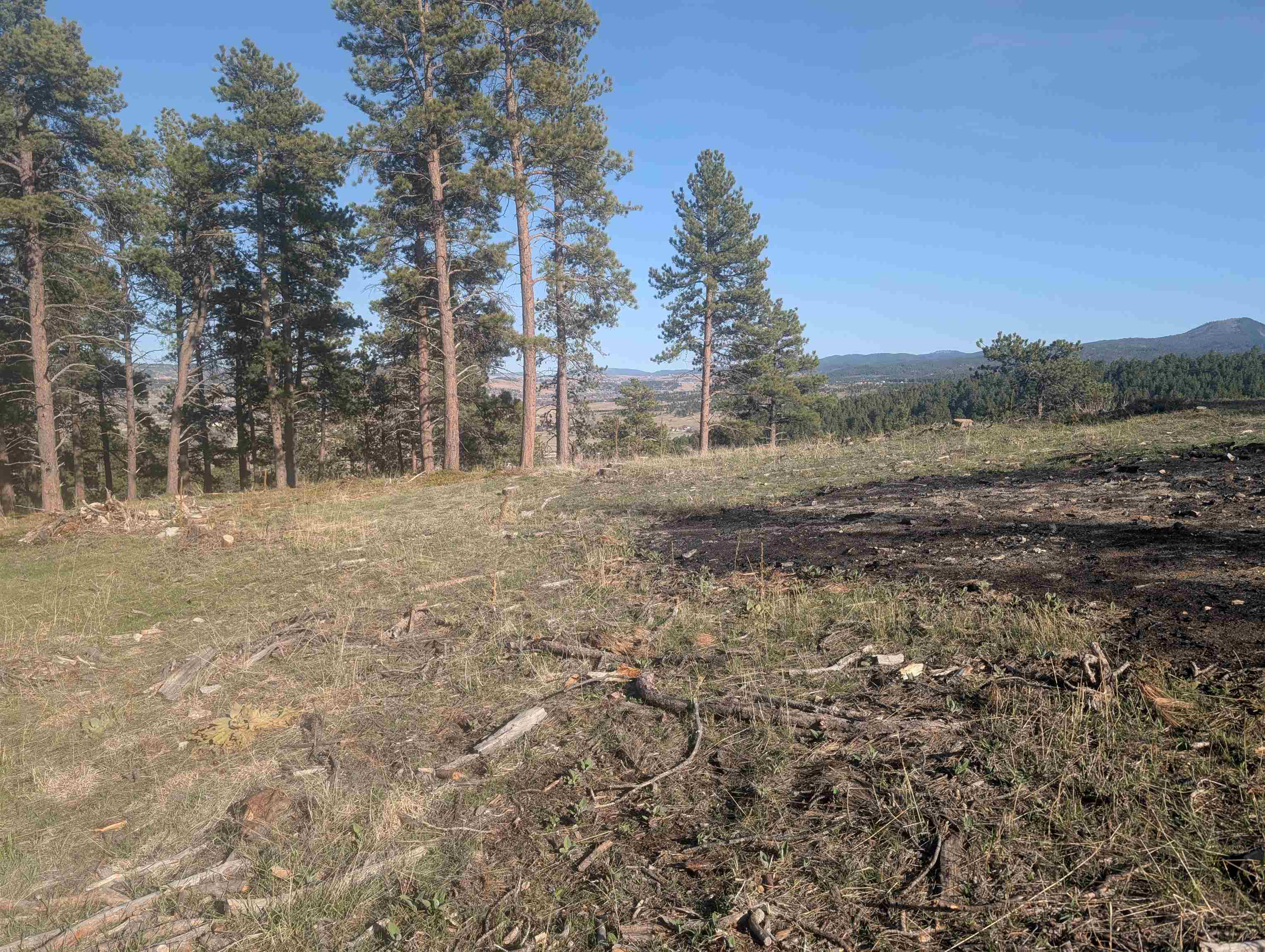 Lot 27 Timberline Road Property Photo 9