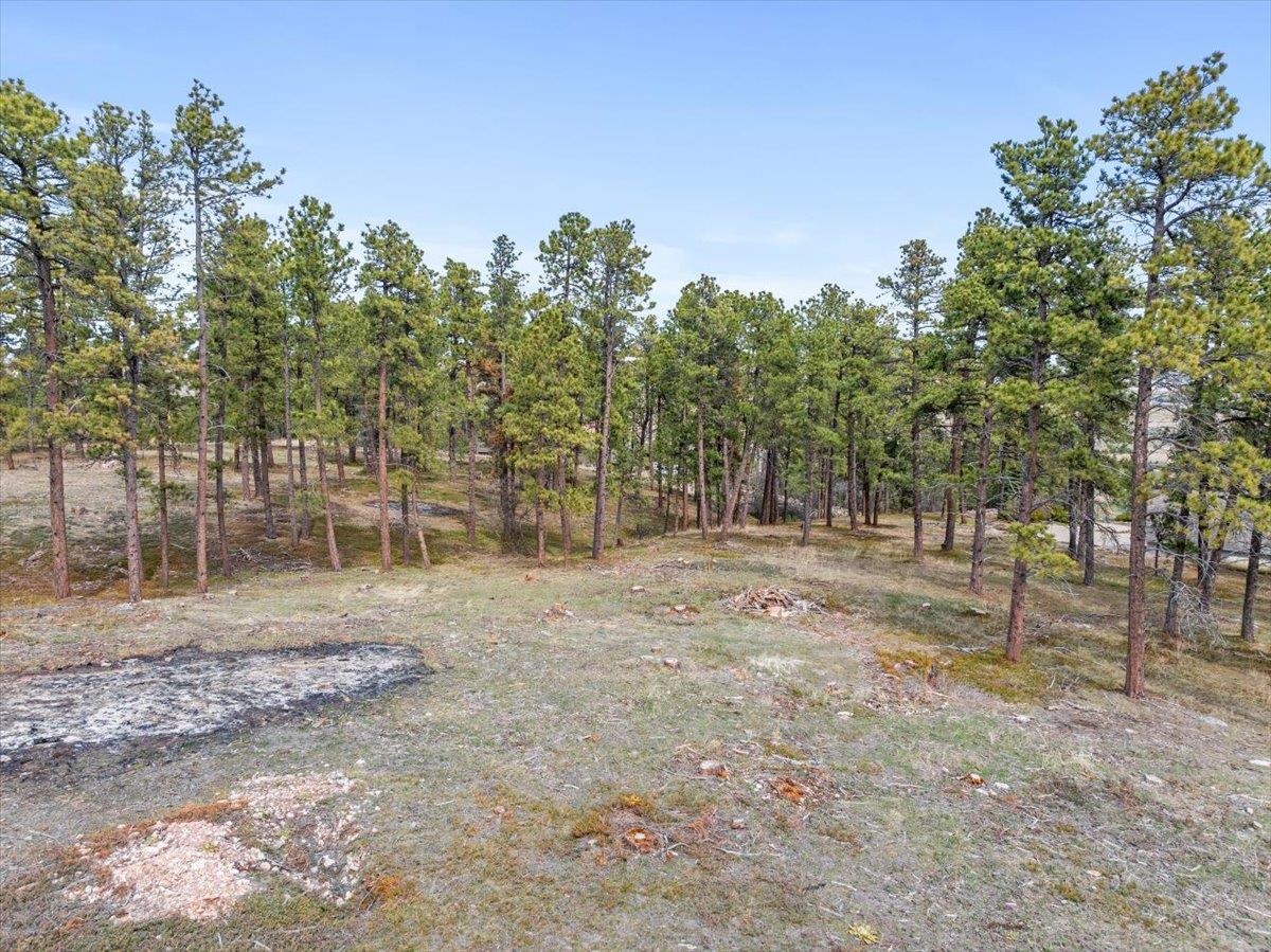 Lot 27 Timberline Road Property Photo 10