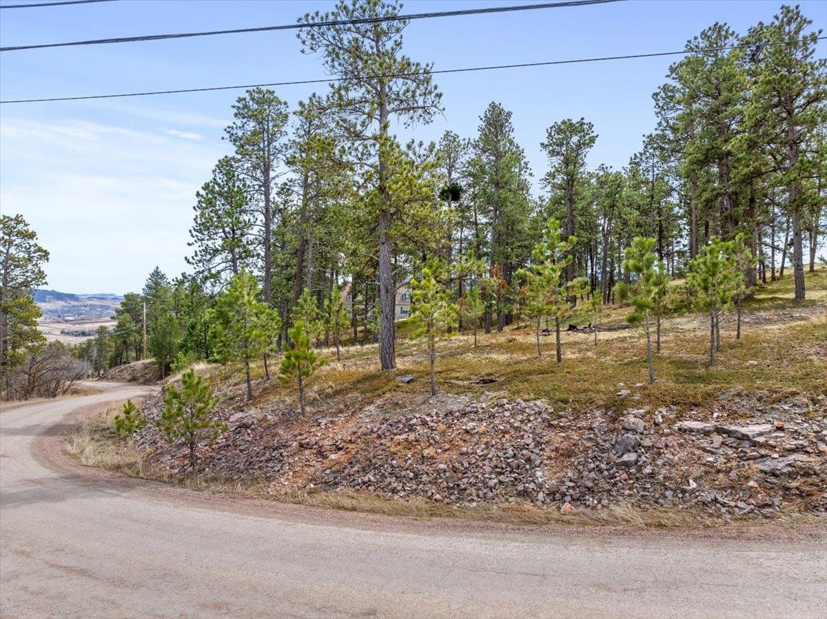 Lot 27 Timberline Road Property Photo 11