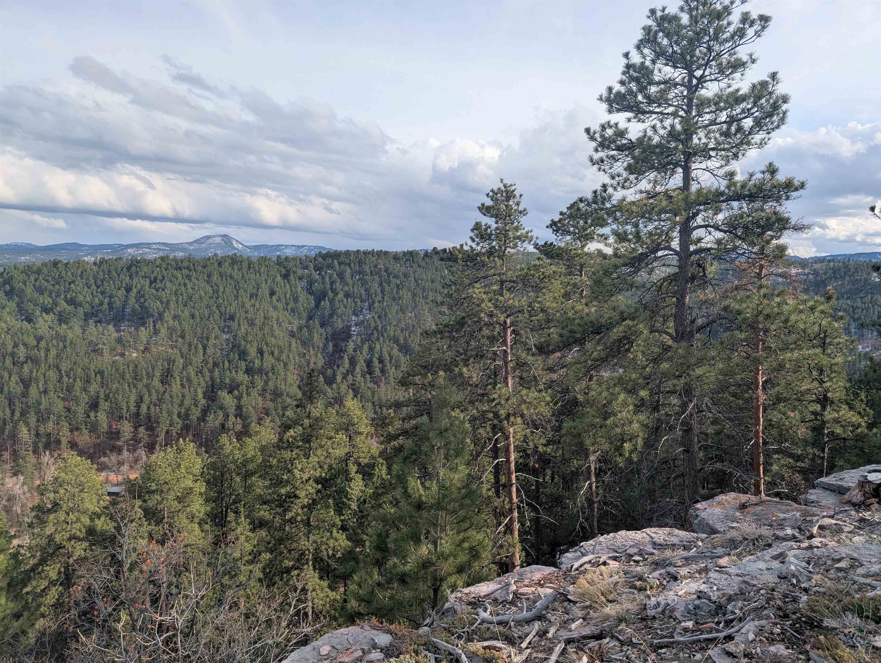 Lot 27 Timberline Road Property Photo 17