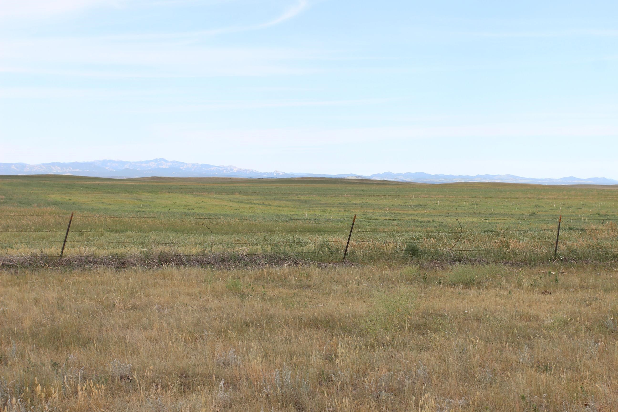 Tbd Spring Creek Cutoff Property Photo 1