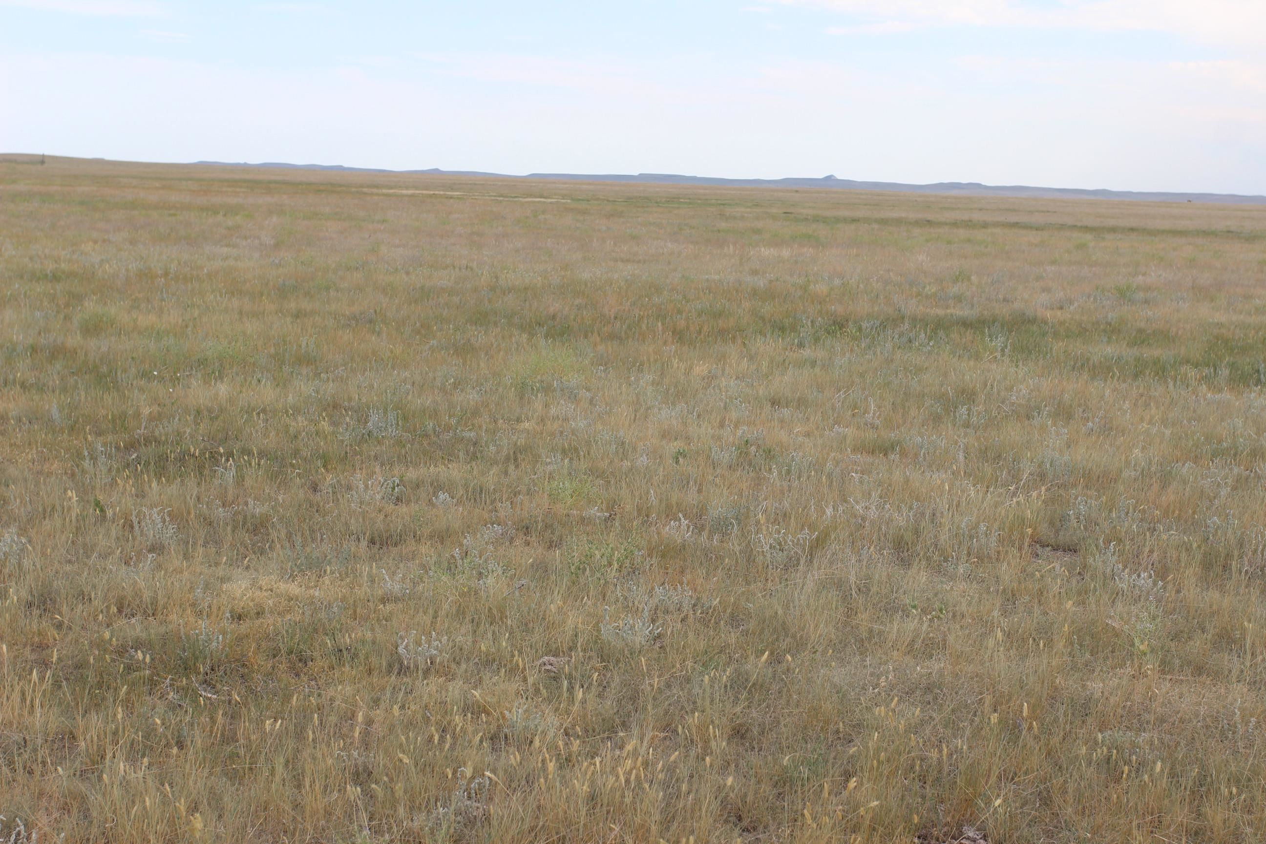 Tbd Spring Creek Cutoff Property Photo 3